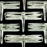 Rene Lalique, a boxed set of twelve Libellule glass knife rests