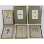 A collection of four floral engravings, H.20cm W.11cm, together with two other engravings of a