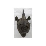 Taxidermy Replica Rhino Head