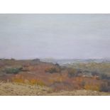 Viktor Nikolaevich Shkurinskiy (Ukrainian, 1932-2012), landscape study, oil on card, signed in