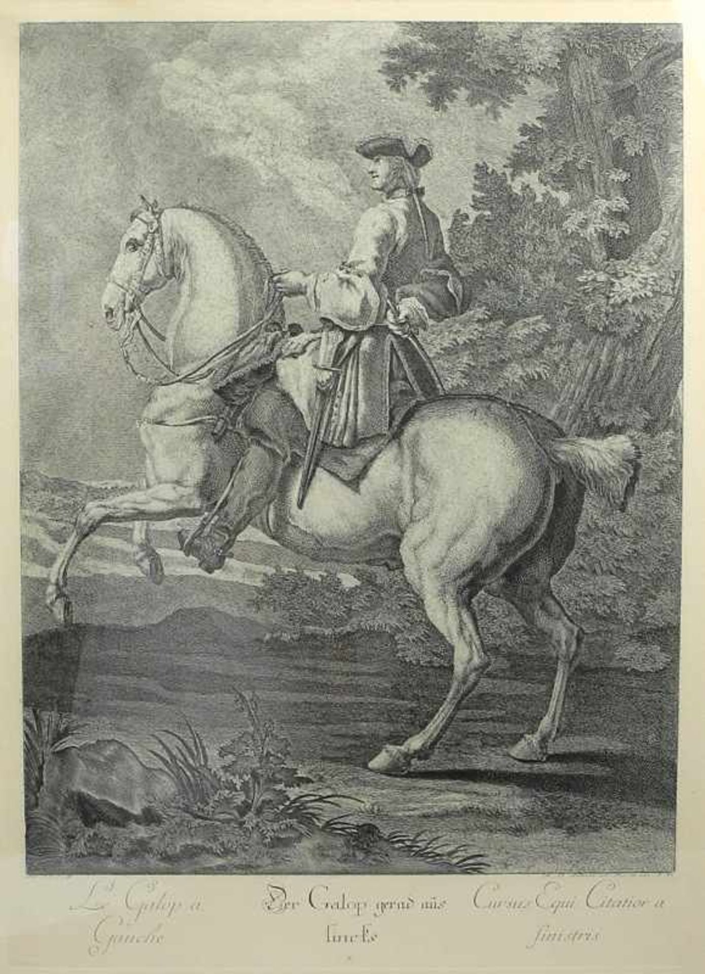 Johann Elias Ridinger, 1698 Ulm - 1767 AugsburgRadierung/Papier. Zweitabzug. Der Galop gerad aus