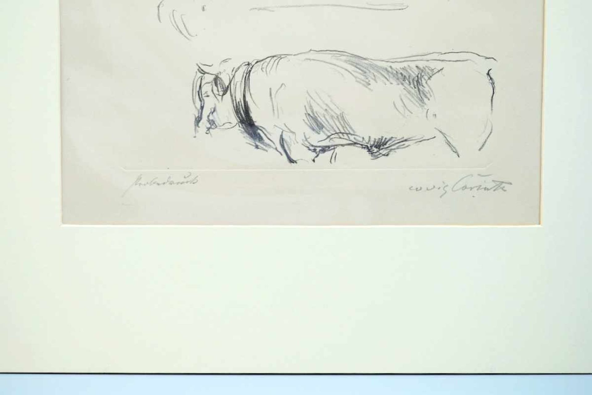 Lovis Corinth, 1858 Tapiau - 1925 ZandervoortLithographie/gelbes Japanpapier. Dreiteilige Tierskizze - Image 3 of 3