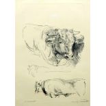 Lovis Corinth, 1858 Tapiau - 1925 ZandervoortLithographie/gelbes Japanpapier. Dreiteilige Tierskizze