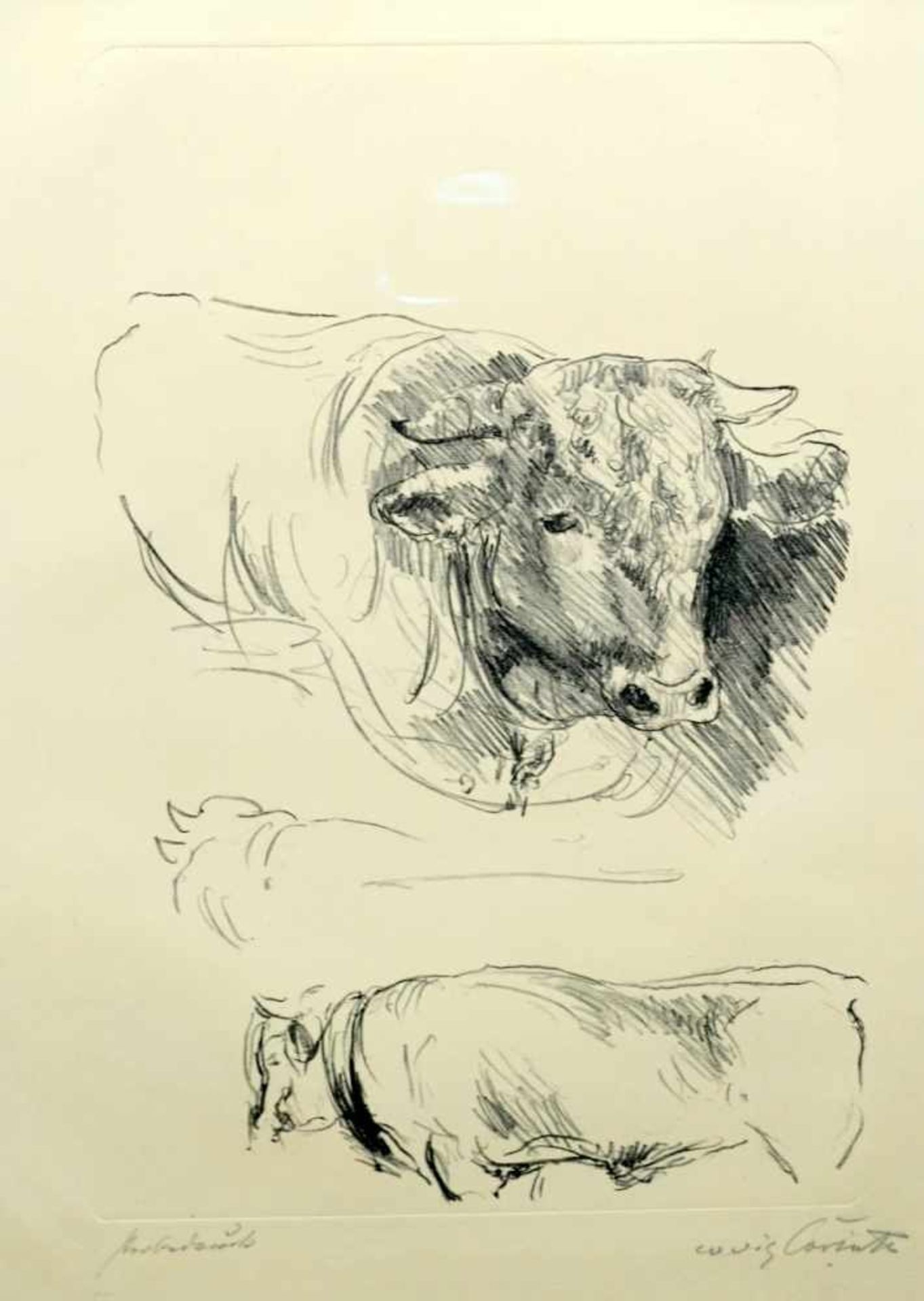 Lovis Corinth, 1858 Tapiau - 1925 ZandervoortLithographie/gelbes Japanpapier. Dreiteilige Tierskizze