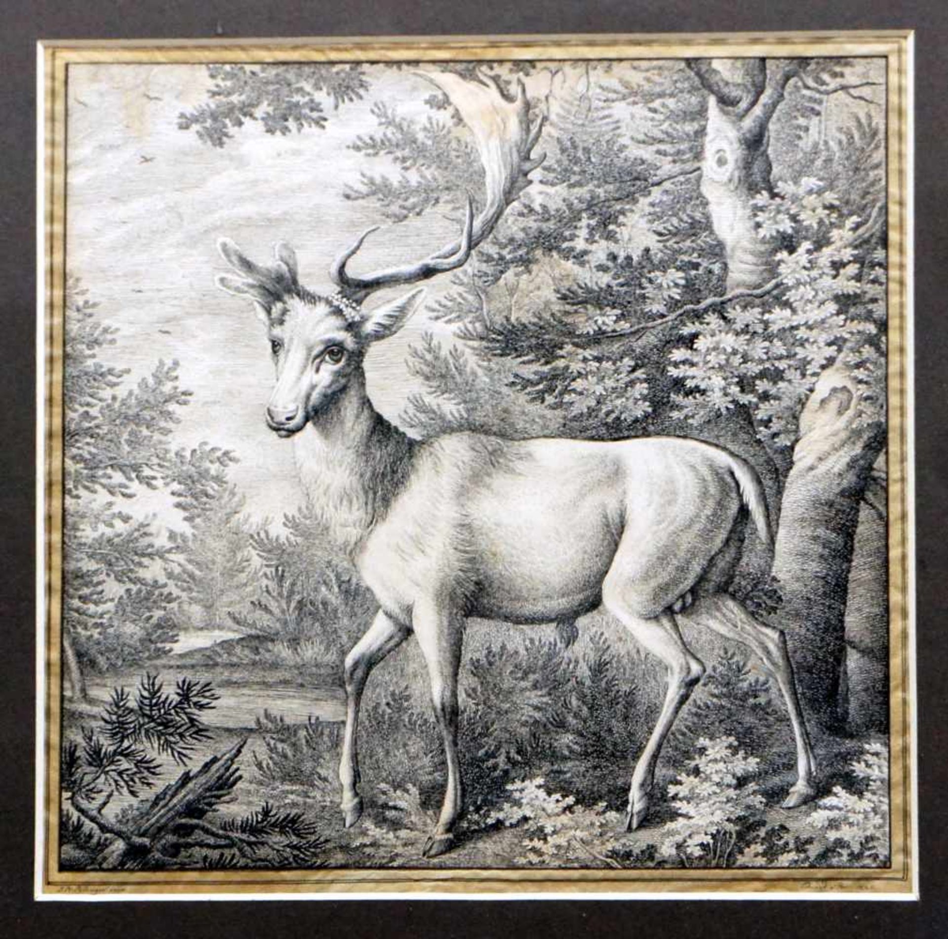 Hirsch im GartenKupferstich von Eduard Aber, nach einem Original von Johann Elias Ridinger (1698 Ulm