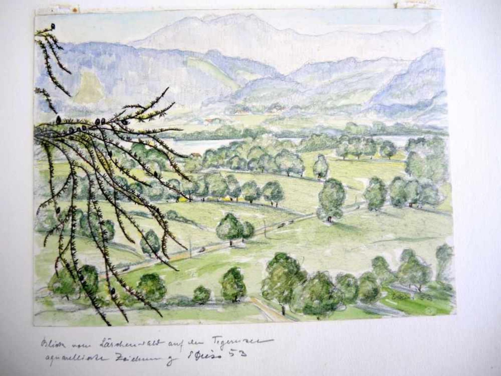 Blick auf den Lärchenwald am TegernseeAquarell-/Bleistiftzeichnung auf Papier, rechts unten signiert