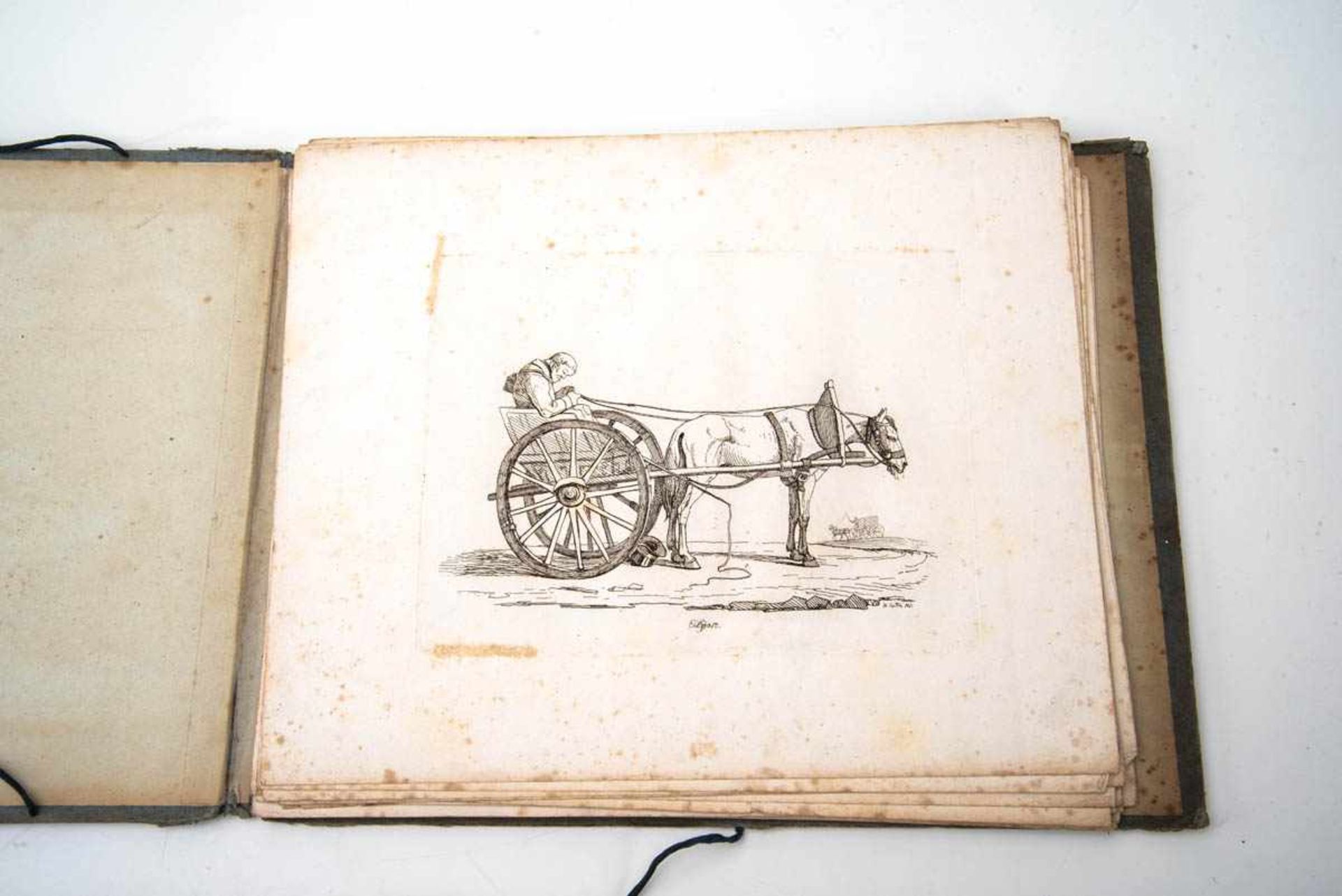 Pferdealbum von Heinrich Cotta(1791-1856)betitelt:"Der kleine Pferdezeichner. Ein Zeichenbuch für - Image 2 of 3