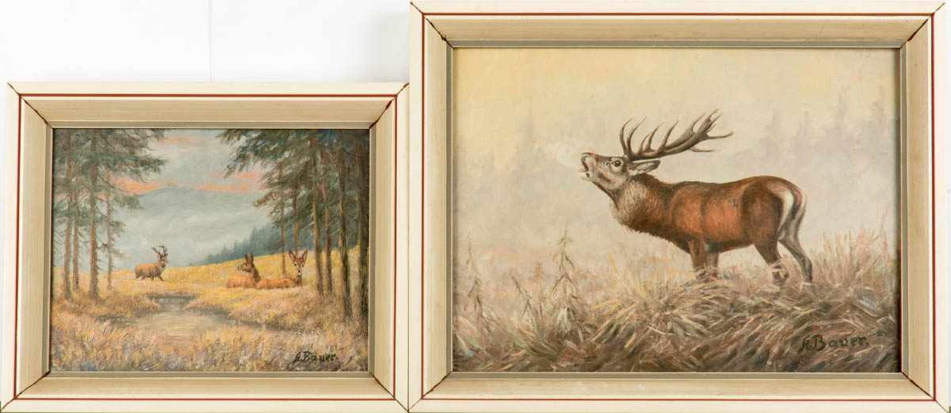 Bauer, St.Jagdmaler des 20. Jhs. 2 Gemälde: Röhrender Hirsch, Hirsch und zwei Ricken an einem