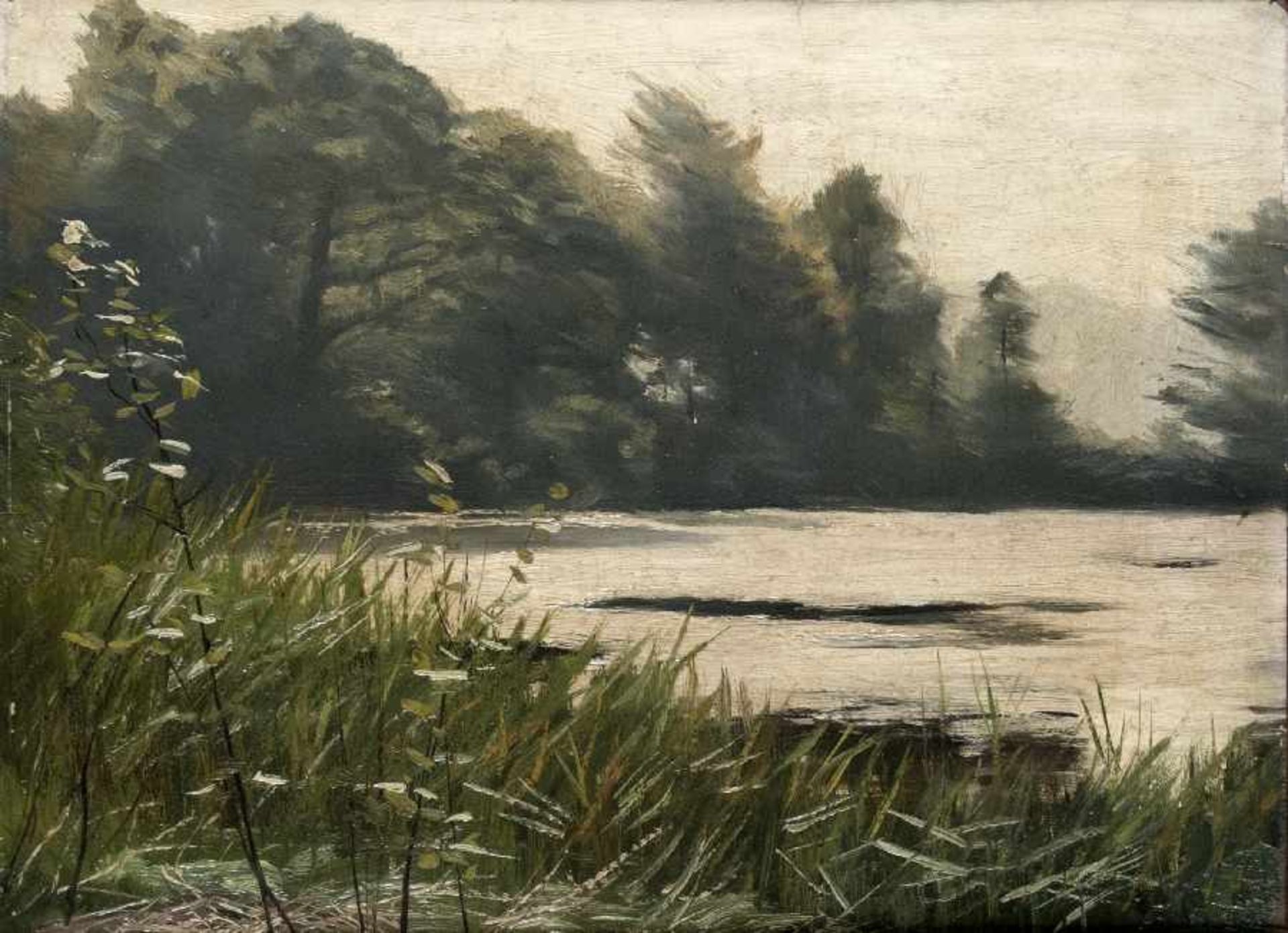 Arthur Wansleben1861 - 1917Einsamer WaldseeÖl auf Holz; H 25 cm, B 31 cmArthur Wansleben1861 -