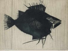 H. Behrens ?Graphiker der 2. Hälfte des 20. Jh.FischRadierung auf Papier; H 340 mm, B 460 mm;