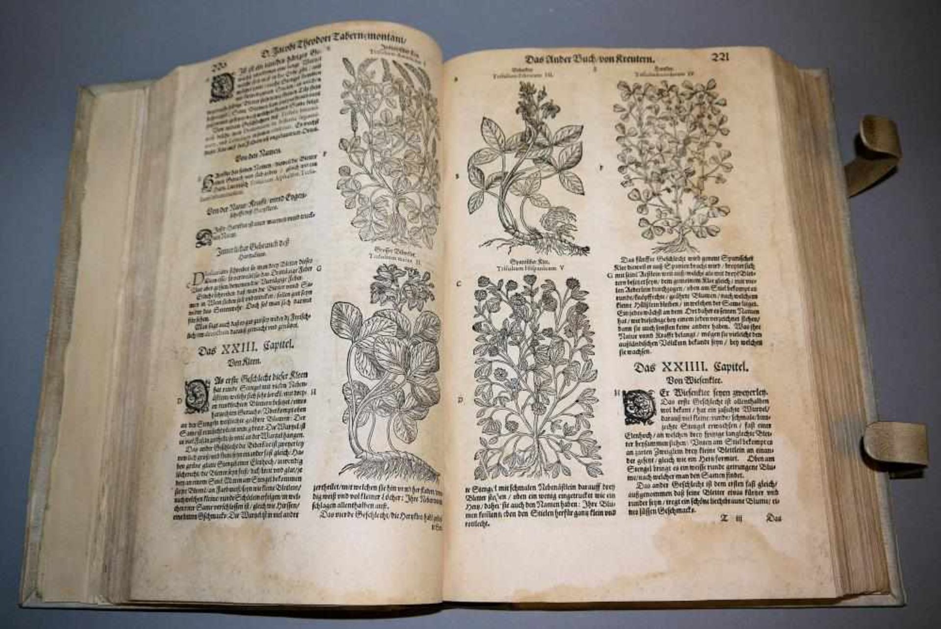 Antiquarisches zur Kräuterkunde von 1664, selten! Jacob Theodor Tabernaemontanus, New vollkommen - Bild 2 aus 2