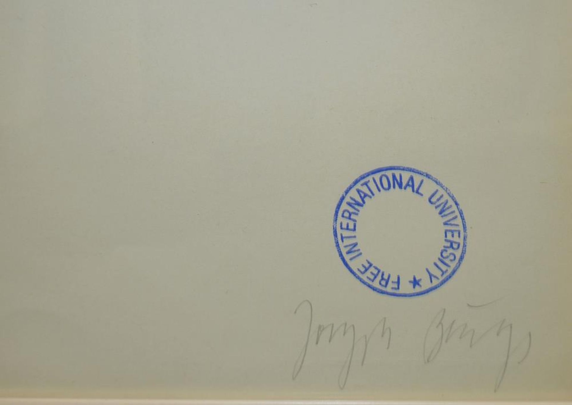 Joseph Beuys, „Grassello”, signierte Farboffsetlitographie von 1979, o. Rahmen Joseph Beuys, - Bild 2 aus 2
