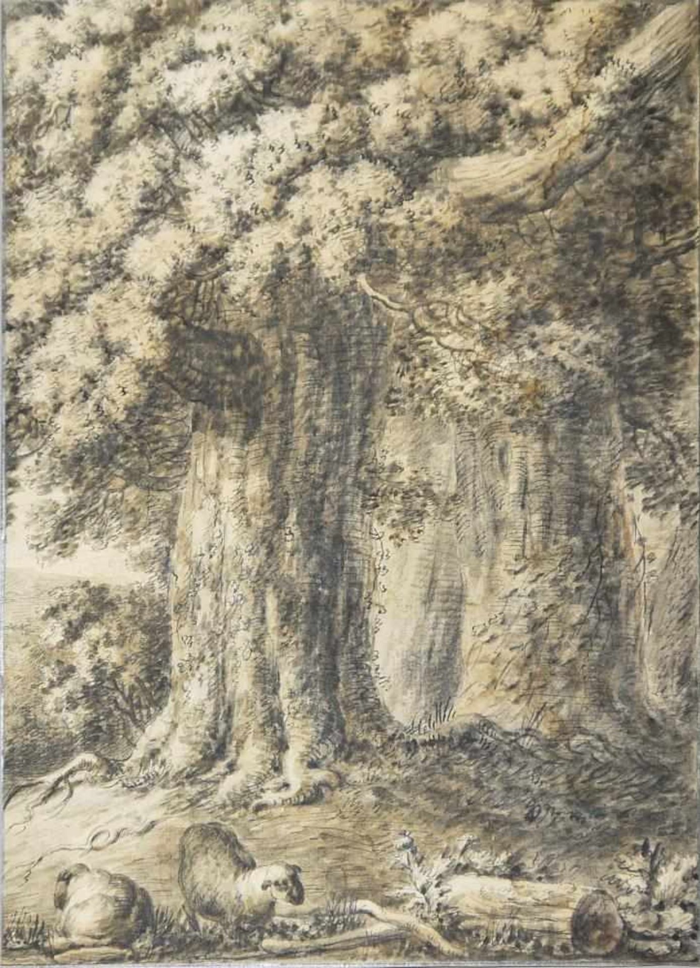 Jakob van der Does, Schafe vor mächtigen Bäumen, sign. Tuschezeichnung von 1641 Jakob van der