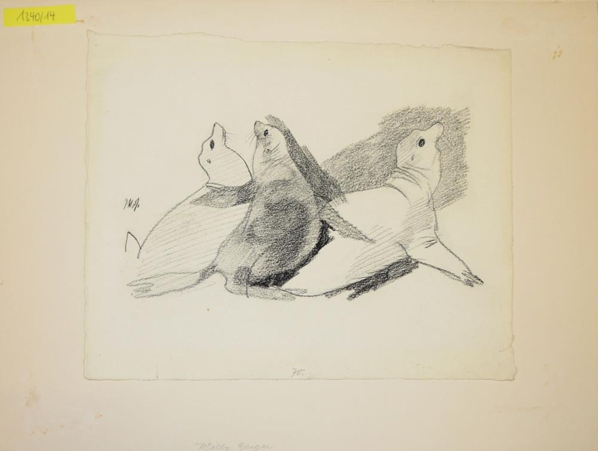 Willi Geiger, Seehund-Studien, Zeichnung um 1912 Willi Geiger, 1878 Schönbrunn – 1971 München,