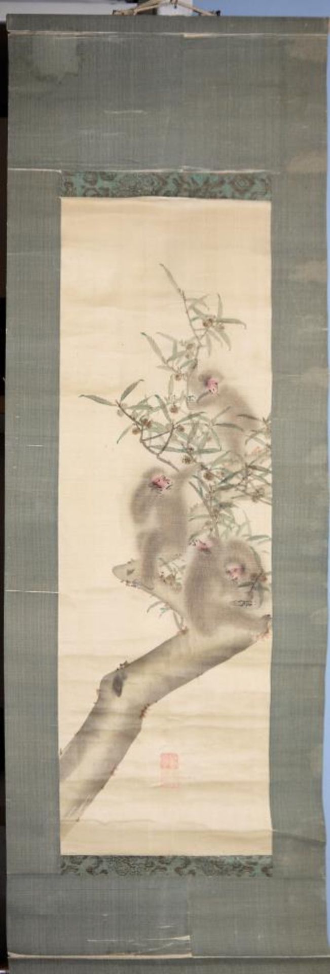 Vier Affen auf Baum, Bildrolle der Edo/Meiji-Zeit, Japan 19. Jh. Affenhorde auf einem