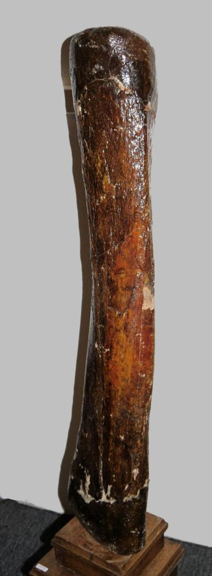 Fossiler Schenkelknochen eines Mammuts Großer Knochen, wohl Oberschenkel des Hinterlaufs eines - Image 2 of 2