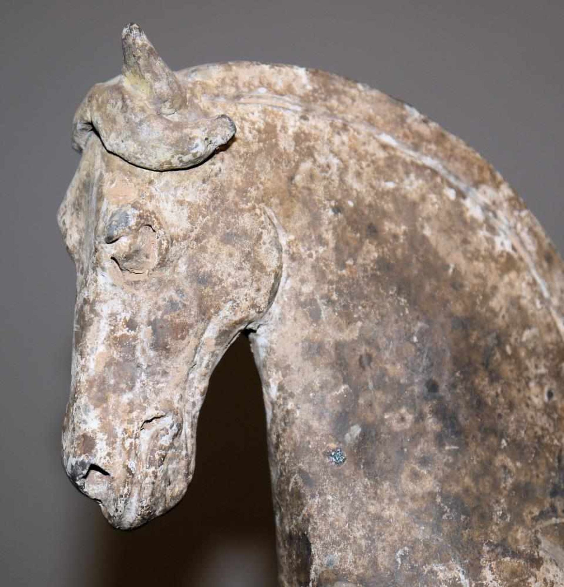 Pferd mit Reiterin, Terracotta-Plastik der Tang-Dynastie, China, 7. – 9. Jh. Das Pferd in - Image 2 of 5