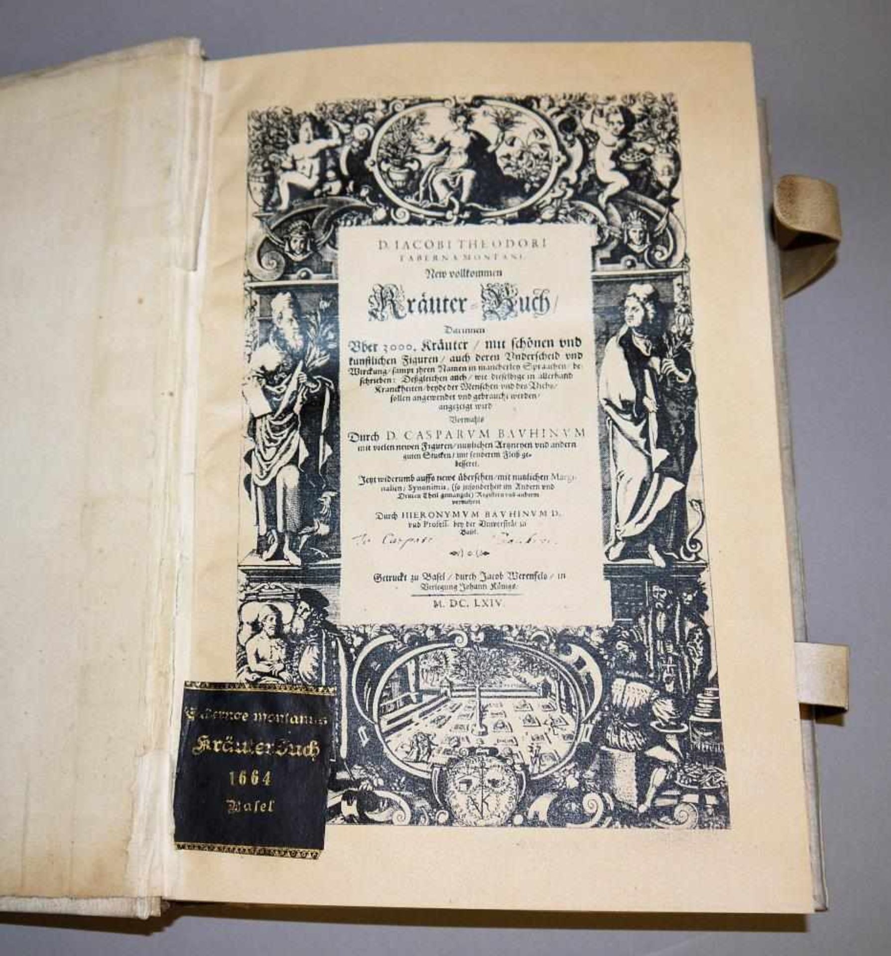 Antiquarisches zur Kräuterkunde von 1664, selten! Jacob Theodor Tabernaemontanus, New vollkommen