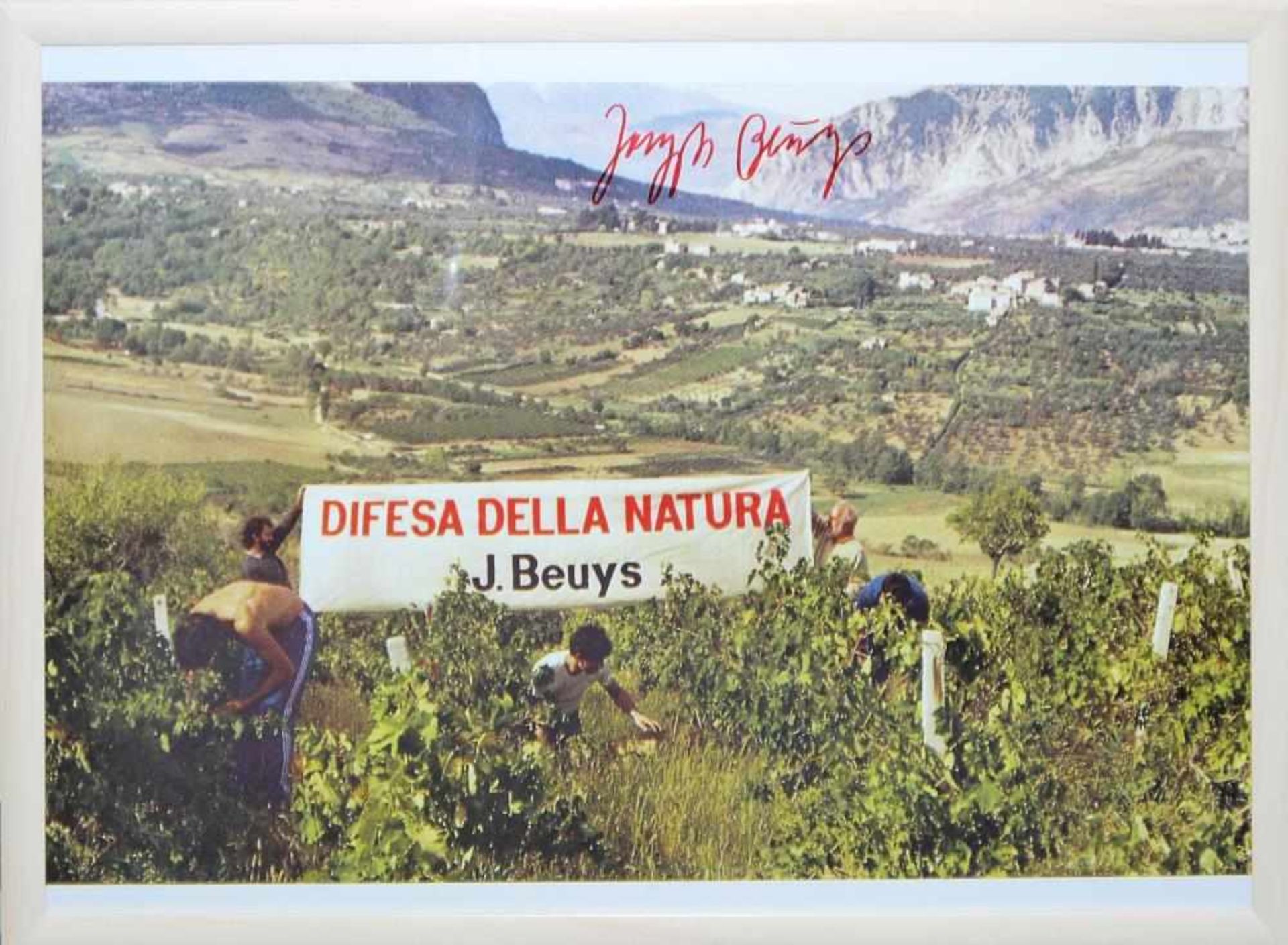 Joseph Beuys, „Difesa della Natura“, signierte Farboffsetlithographie von 1984, gerahmt Joseph