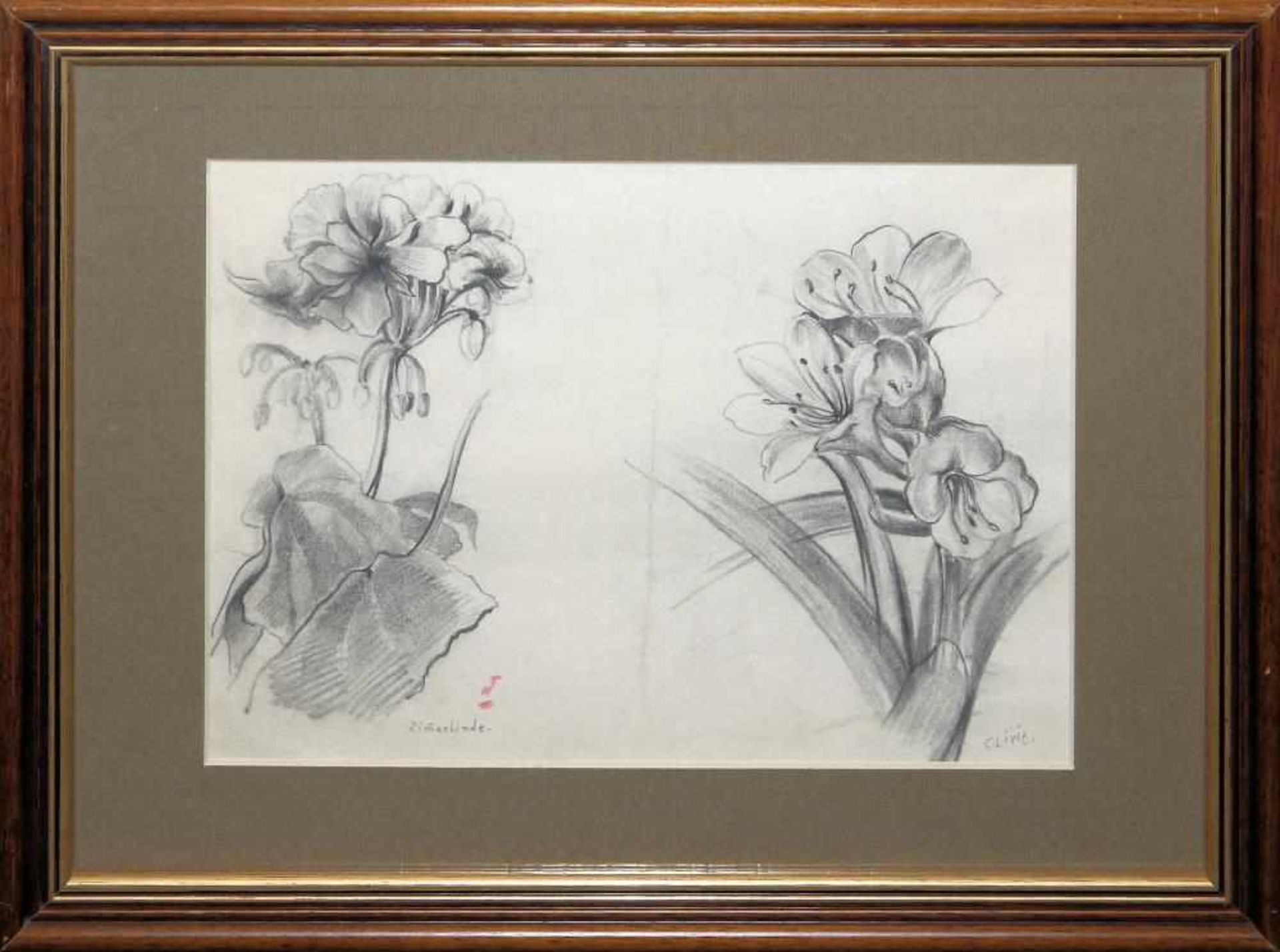 Josef Steiner, Blumenstudien, 2 Kohlezeichnungen um 1936, gerahmt Josef Steiner, 1899 - 1977, „