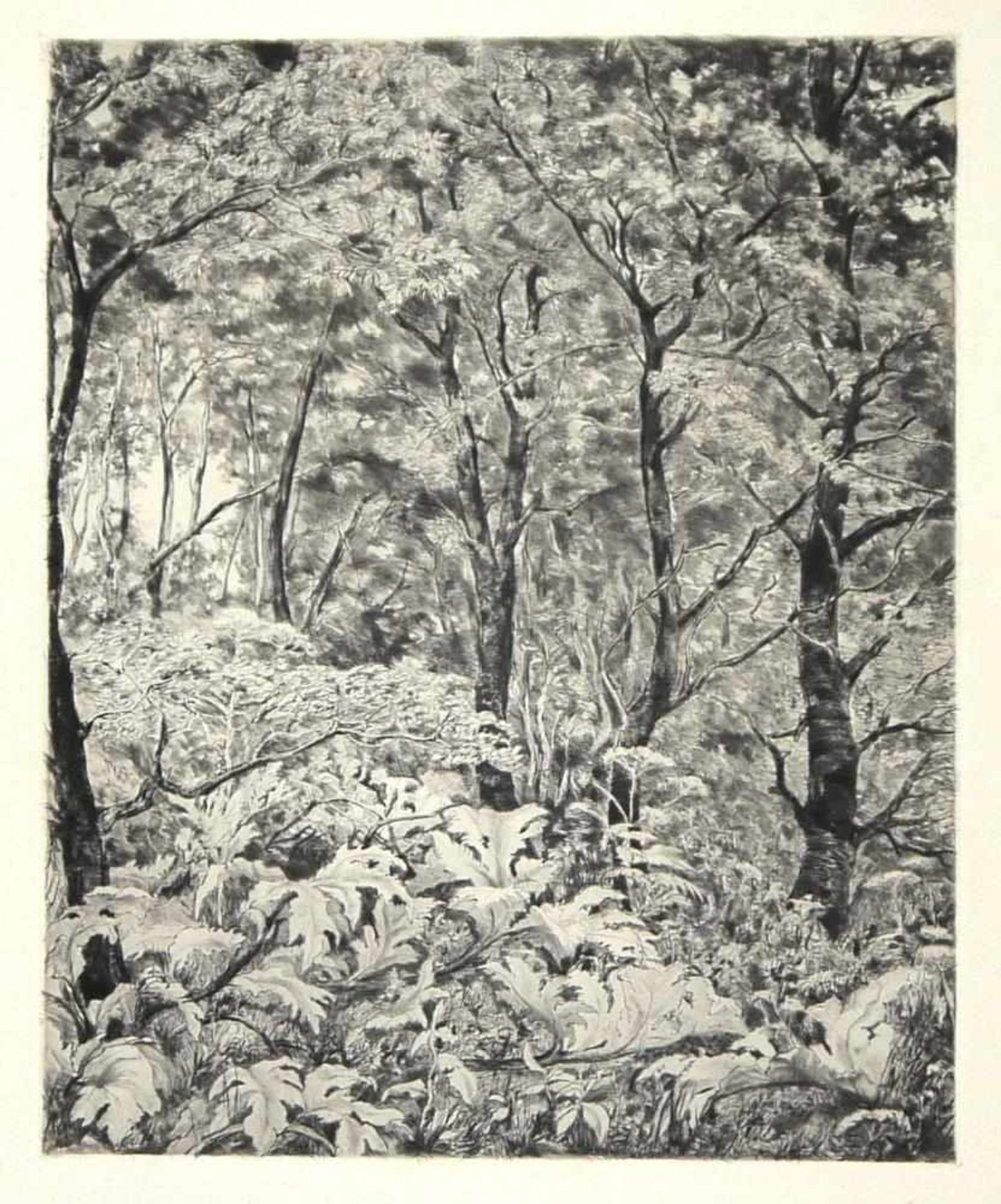 Josef Steiner, Bäume und Landschaften, 5 Radierungen, einmal gerahmt Josef Steiner, 1899 – 1977, „ - Bild 2 aus 5