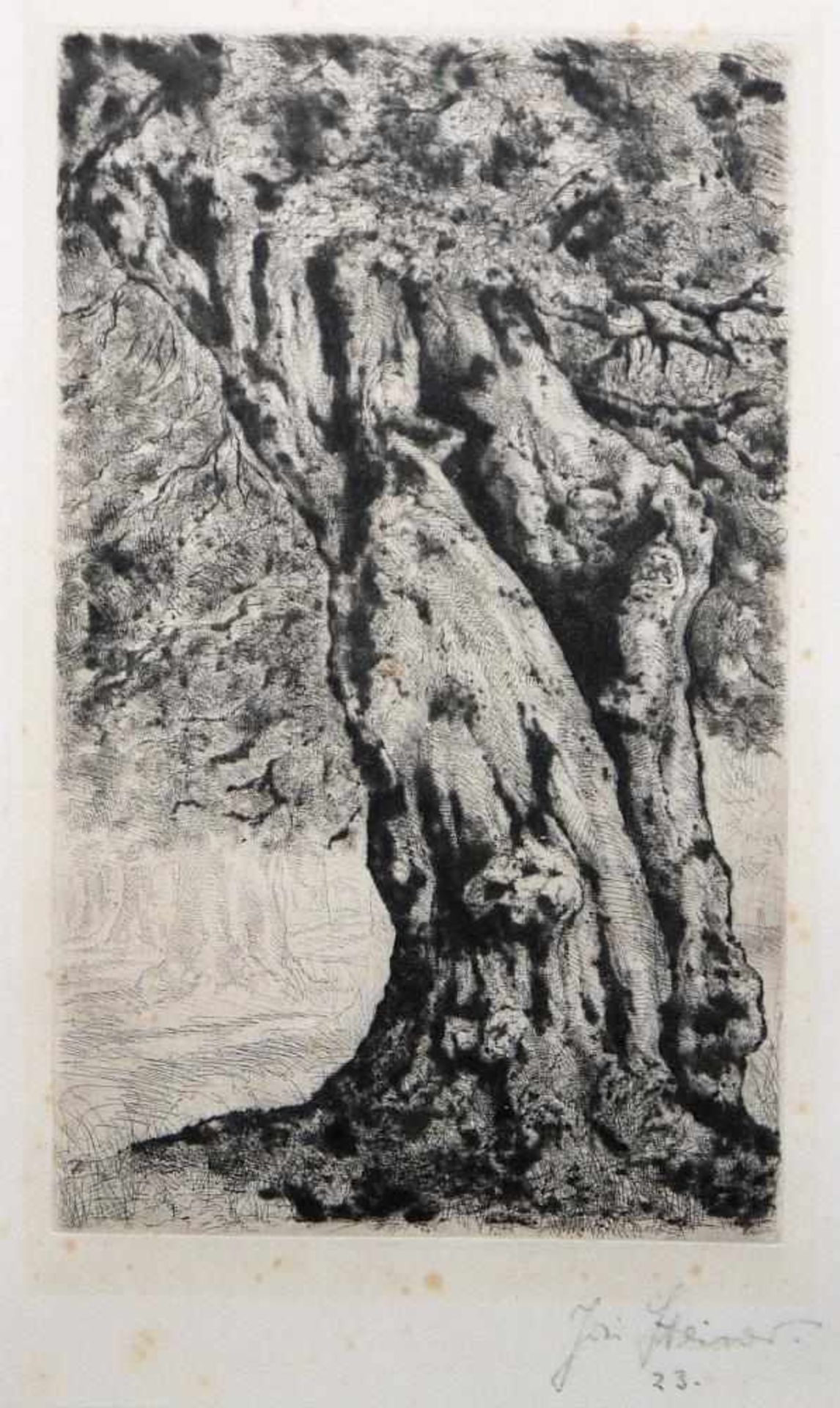 Josef Steiner, Landschaften mit Bäumen, 5 Radierungen, gerahmt Josef Steiner, 1899 – 1977, „ - Bild 8 aus 9