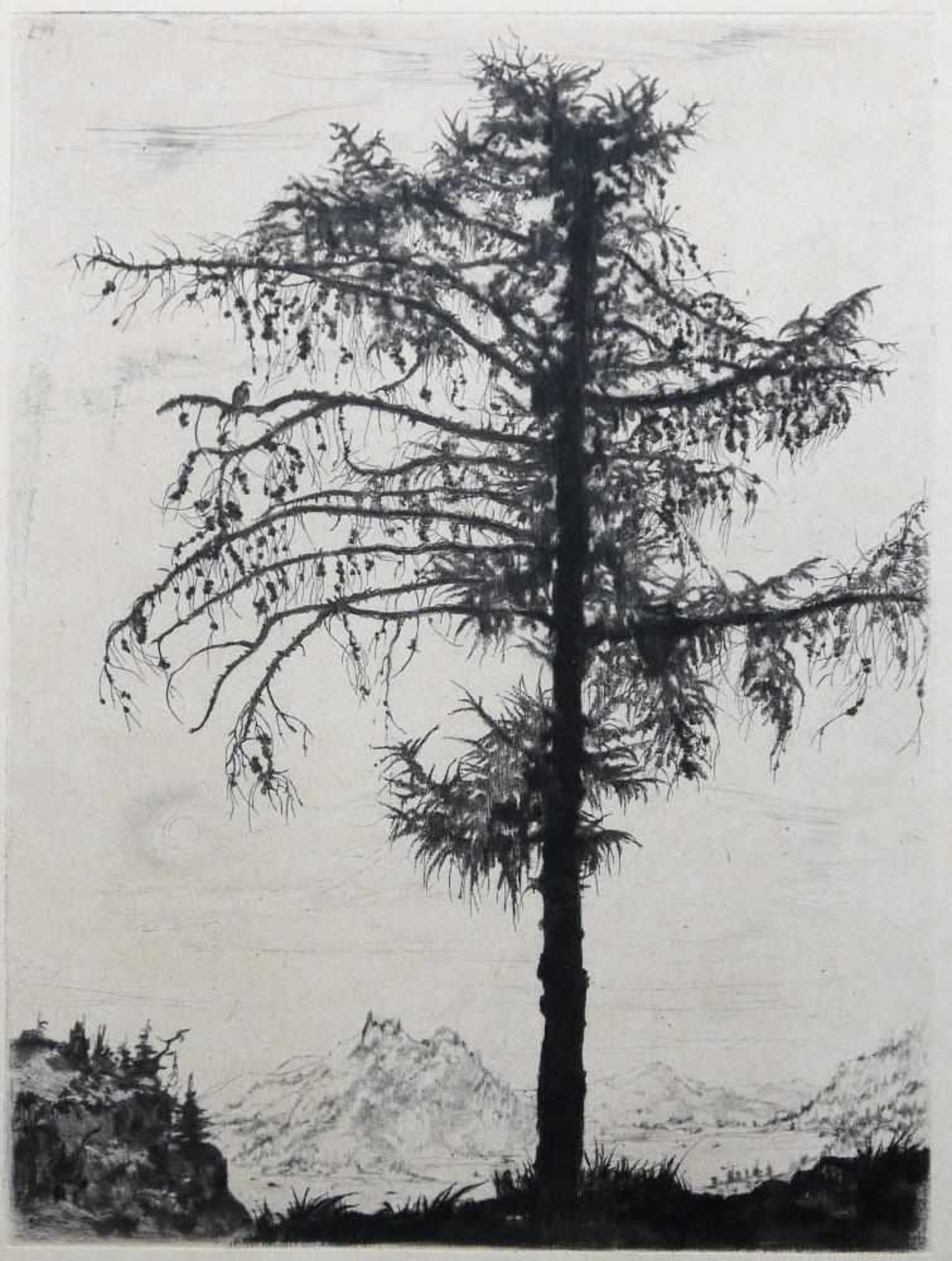 Josef Steiner, Naturdarstellungen mit Bäumen, 4 Radierungen, 1938, 1944 u. um 1940/45, gerahmt Josef - Bild 9 aus 9
