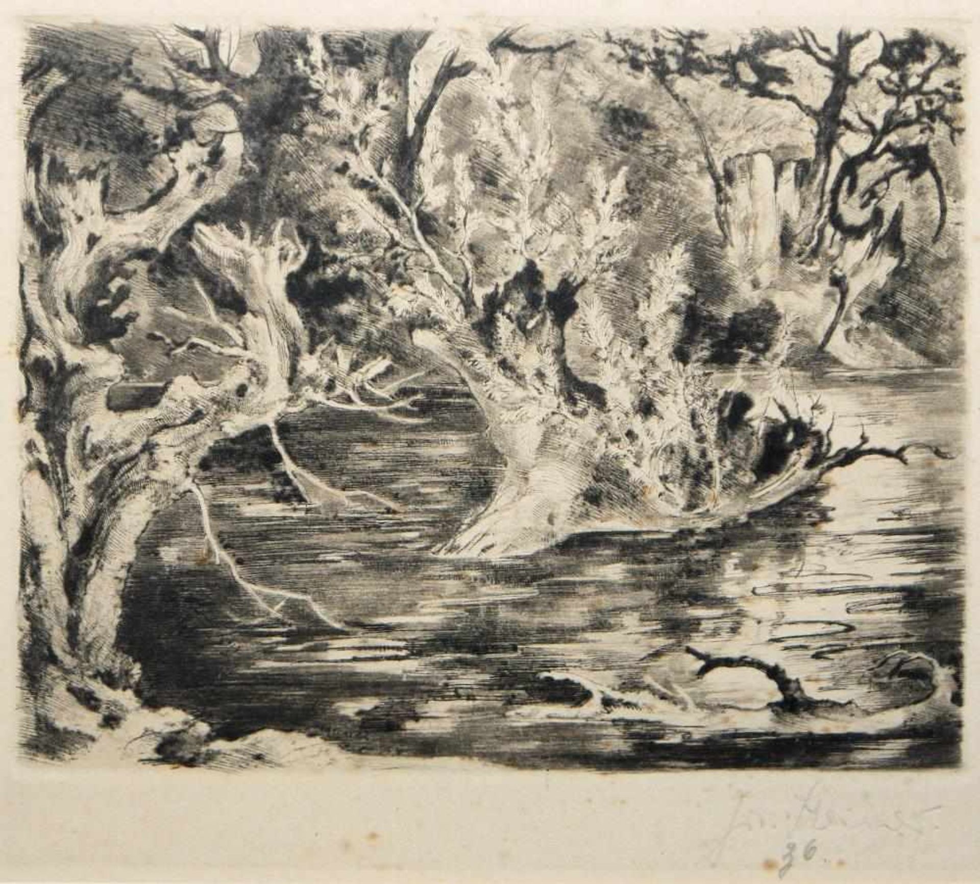 Josef Steiner, Landschaften und Wälder, 4 Radierungen, gerahmt Josef Steiner, 1899 – 1977, „Farne im - Bild 2 aus 9
