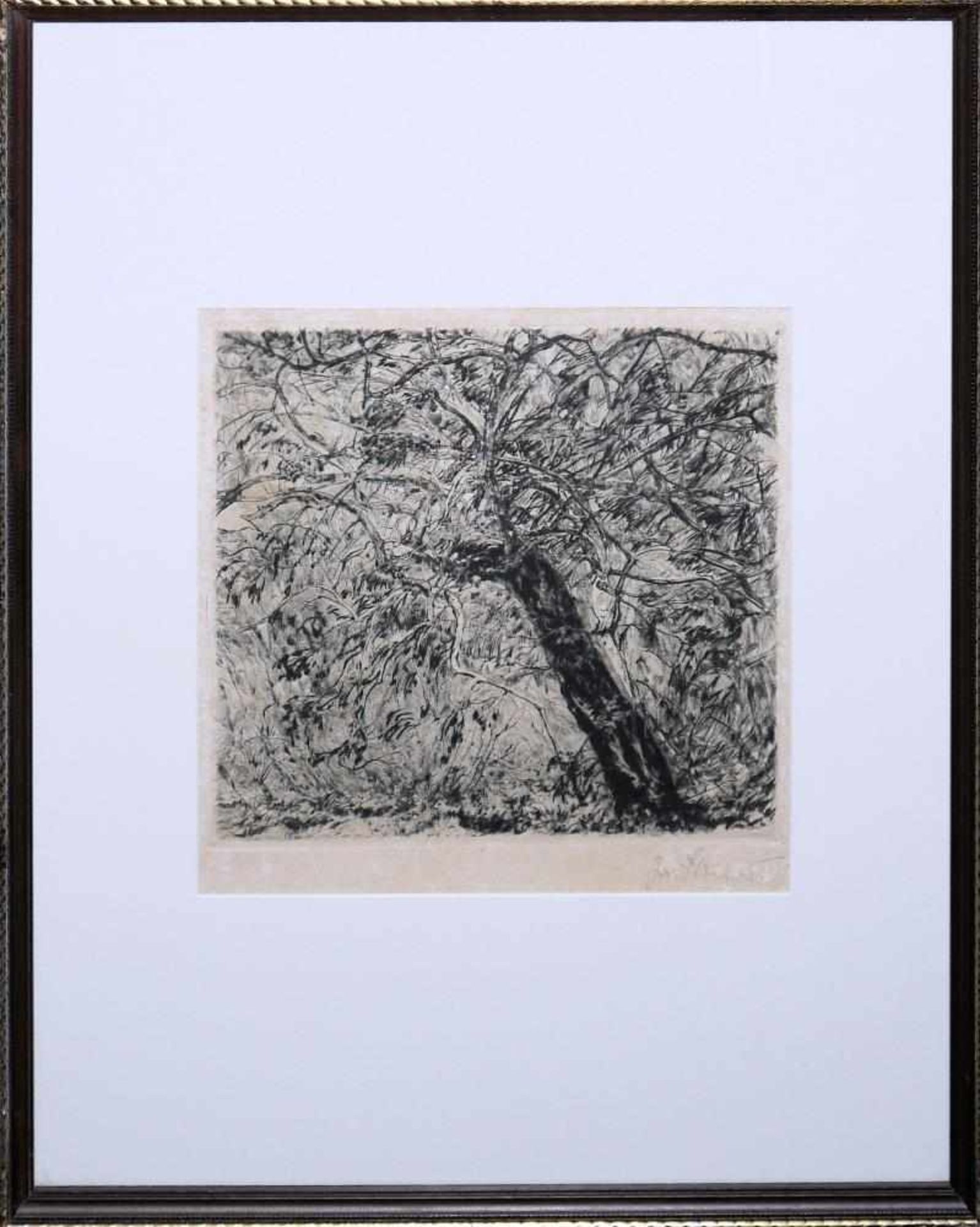 Josef Steiner, Landschaften und Wälder, 4 Radierungen, gerahmt Josef Steiner, 1899 – 1977, „Farne im - Bild 6 aus 9