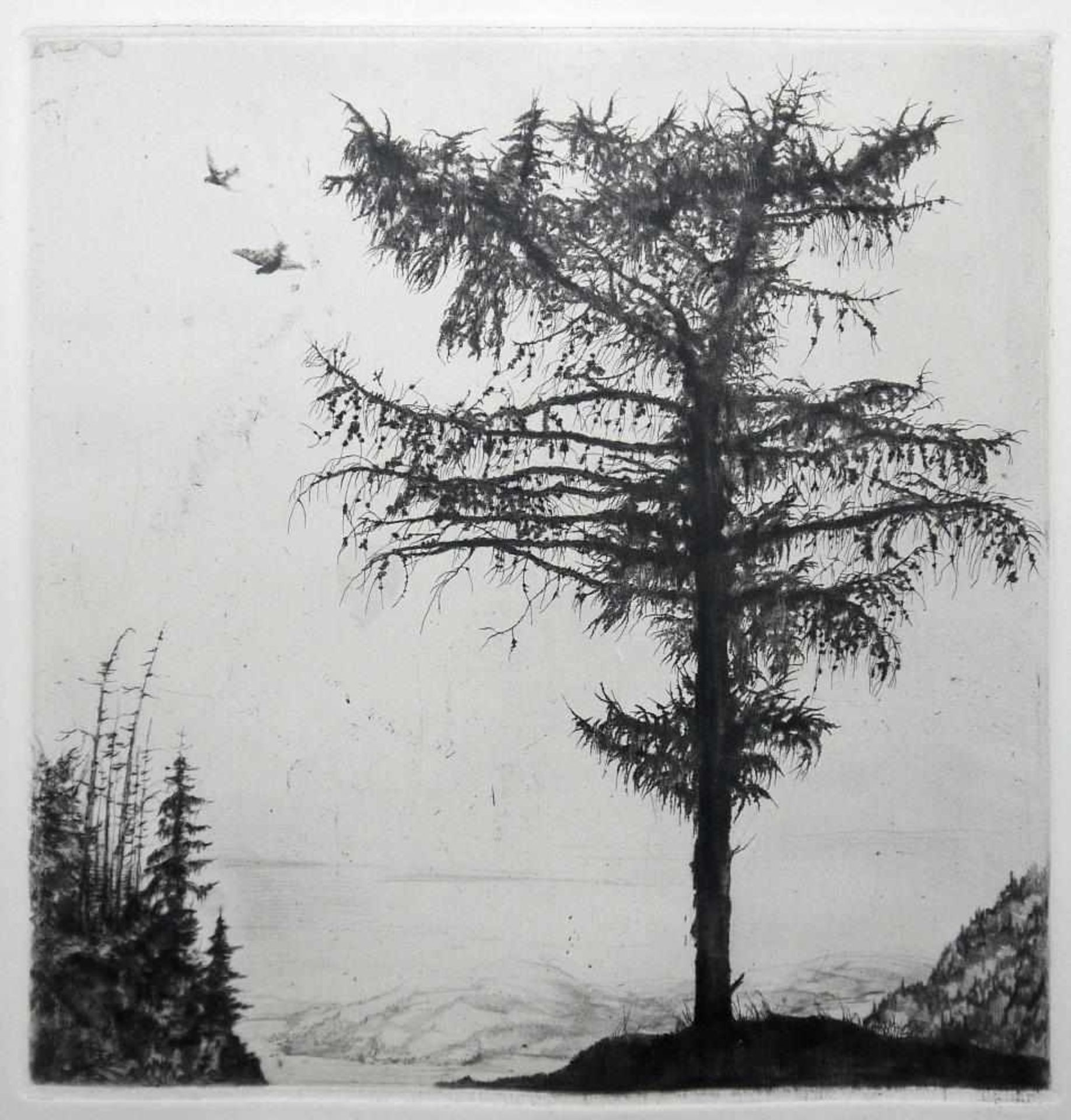 Josef Steiner, Landschaften mit Bäumen, 5 Radierungen, gerahmt Josef Steiner, 1899 – 1977, „ - Bild 3 aus 9