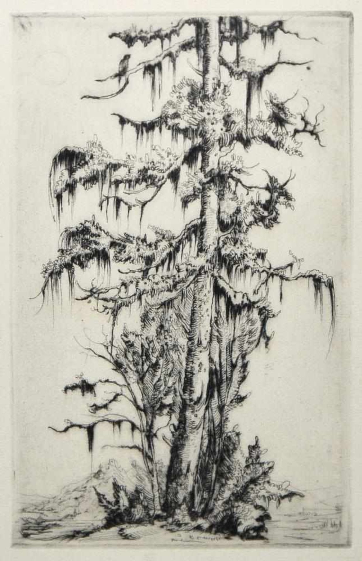 Josef Steiner, Naturdarstellungen mit Bäumen, 4 Radierungen, 1938, 1944 u. um 1940/45, gerahmt Josef - Bild 7 aus 9
