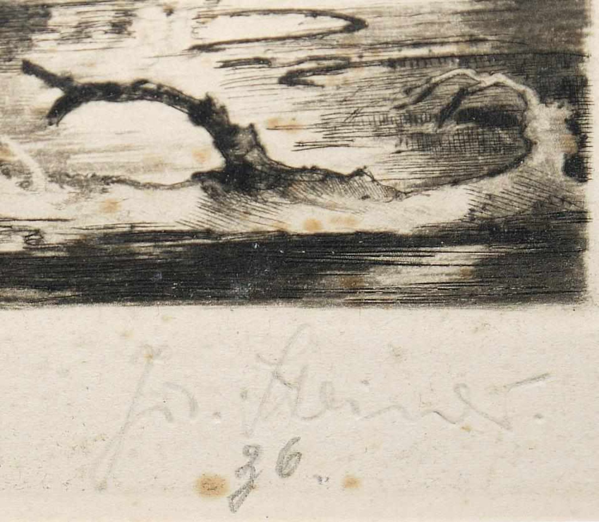 Josef Steiner, Landschaften und Wälder, 4 Radierungen, gerahmt Josef Steiner, 1899 – 1977, „Farne im - Bild 3 aus 9