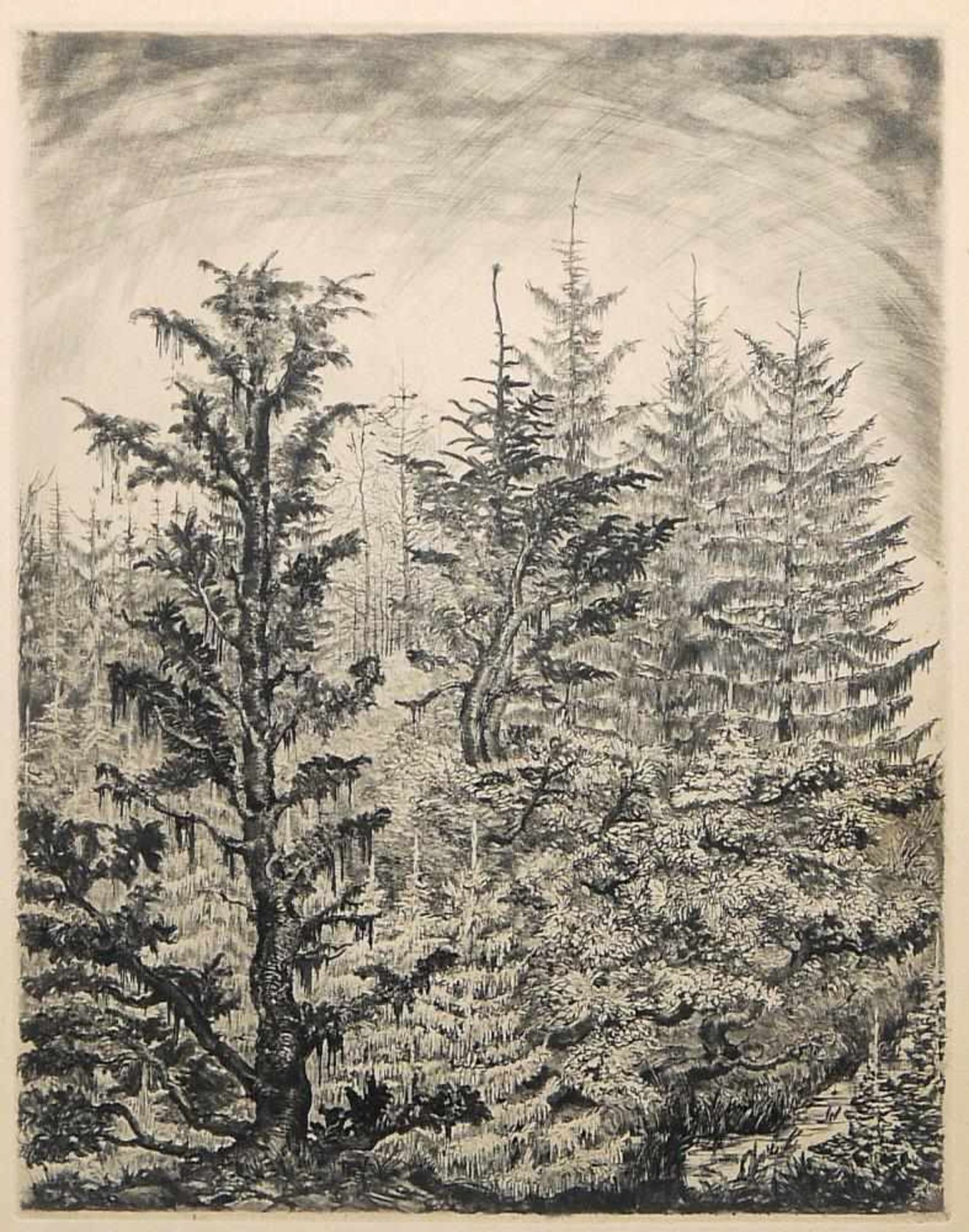 Josef Steiner, Landschaften und Wälder, 4 Radierungen, gerahmt Josef Steiner, 1899 – 1977, „ - Bild 5 aus 8