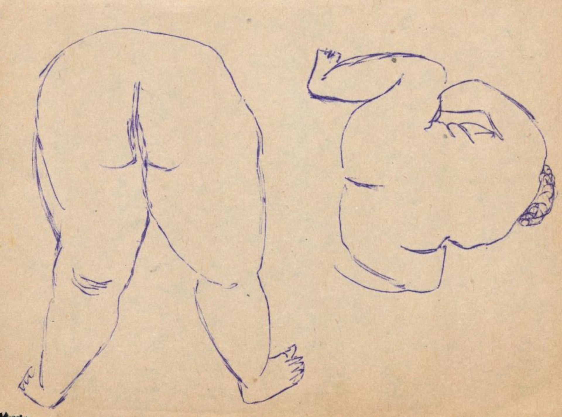 Josef Steiner, Kleine Sammlung Frauenakte, 4 Zeichnungen, gerahmt Josef Steiner, 1899 – 1977, - Bild 5 aus 5