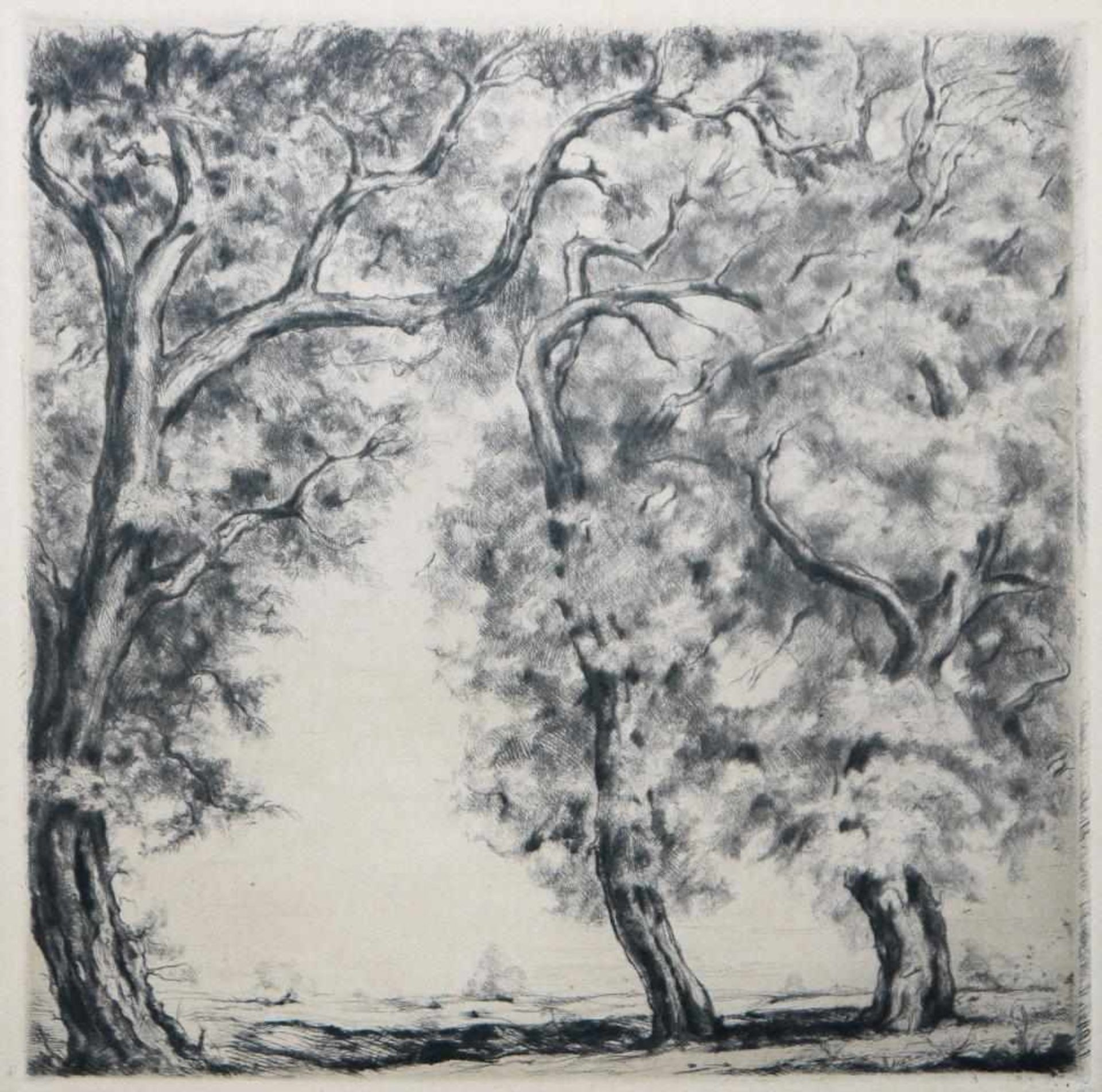 Josef Steiner, Landschaften mit Bäumen, 5 Radierungen, gerahmt Josef Steiner, 1899 – 1977, „ - Bild 5 aus 9