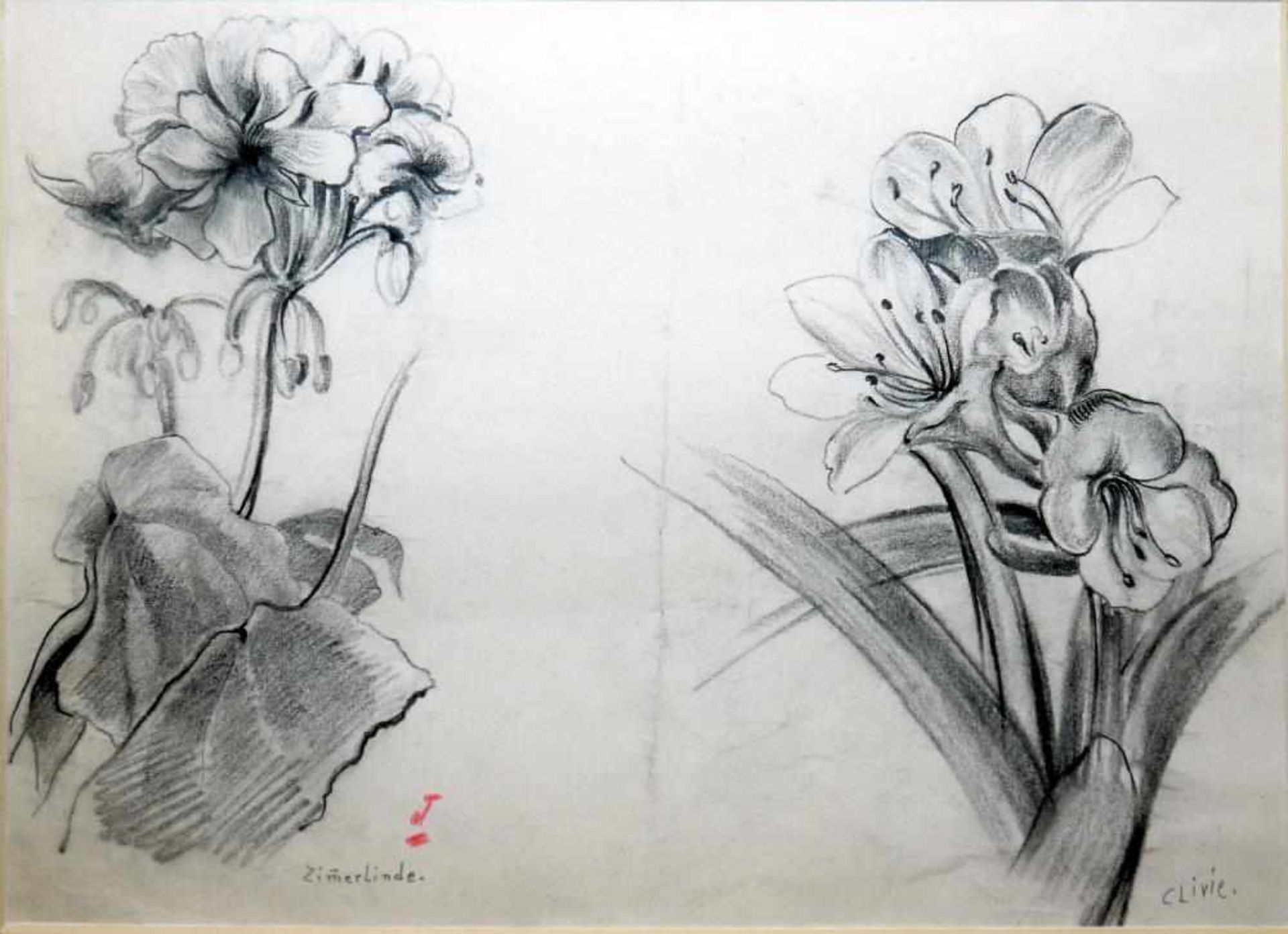 Josef Steiner, Blumenstudien, 2 Kohlezeichnungen um 1936, gerahmt Josef Steiner, 1899 - 1977, „ - Bild 2 aus 4