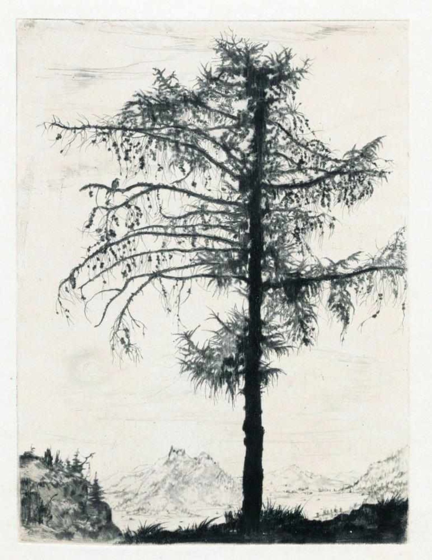 Josef Steiner, Bäume und Landschaften, 5 Radierungen, einmal gerahmt Josef Steiner, 1899 – 1977, „ - Bild 3 aus 5