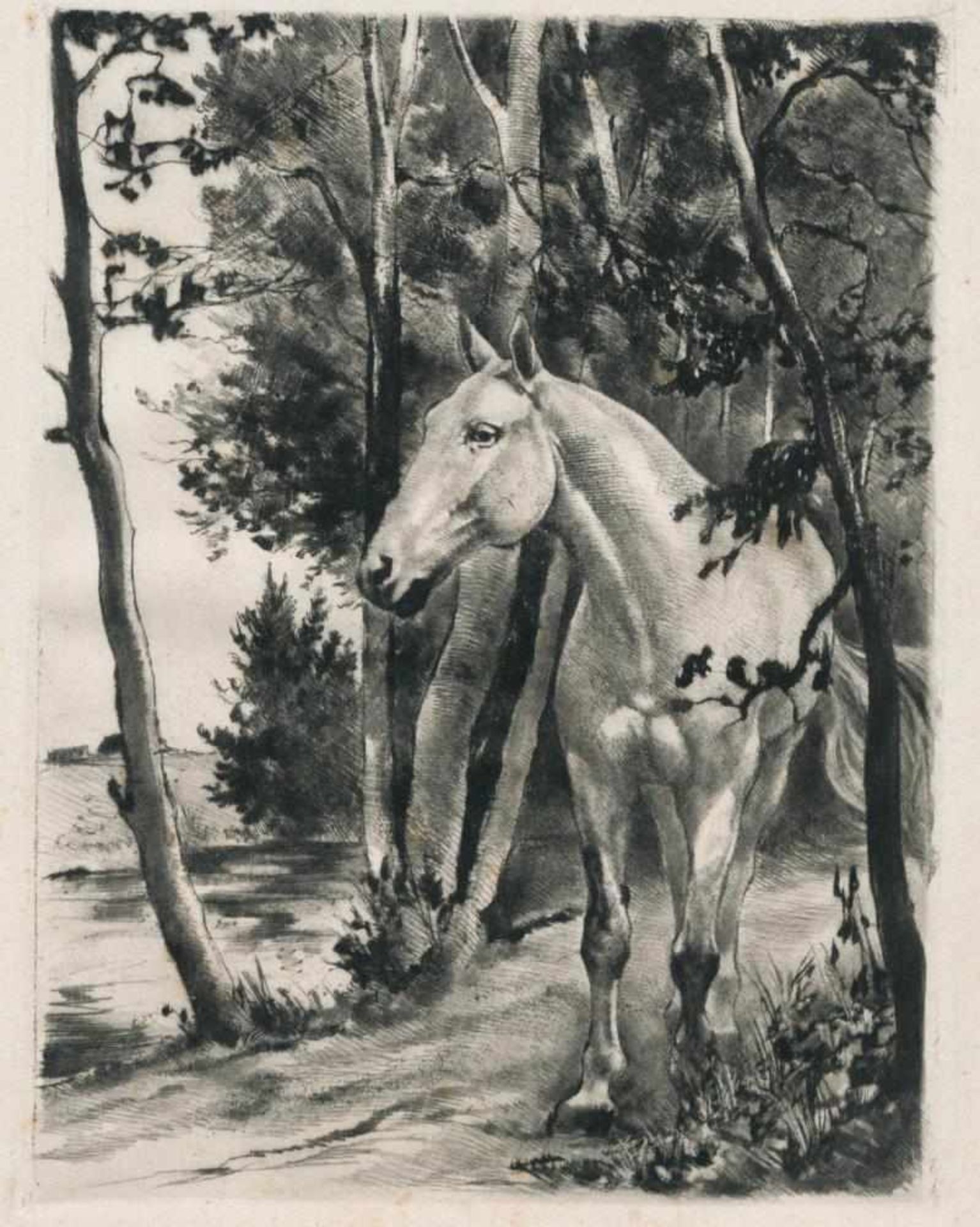 Josef Steiner, Kleine Pferdestudie, frühe Bleistiftzeichnung, 1x gerahmt Josef Steiner, 1899 - 1977, - Image 3 of 4
