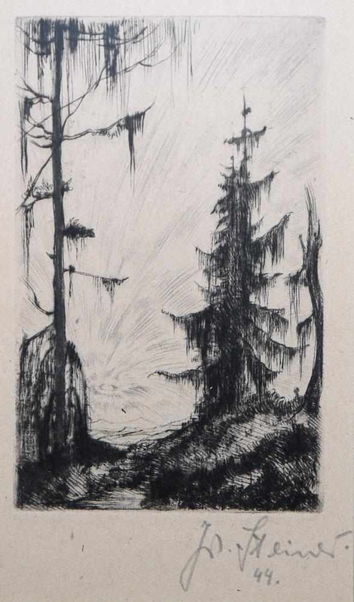Josef Steiner, Naturdarstellungen mit Bäumen, 4 Radierungen, 1938, 1944 u. um 1940/45, gerahmt Josef - Bild 5 aus 9