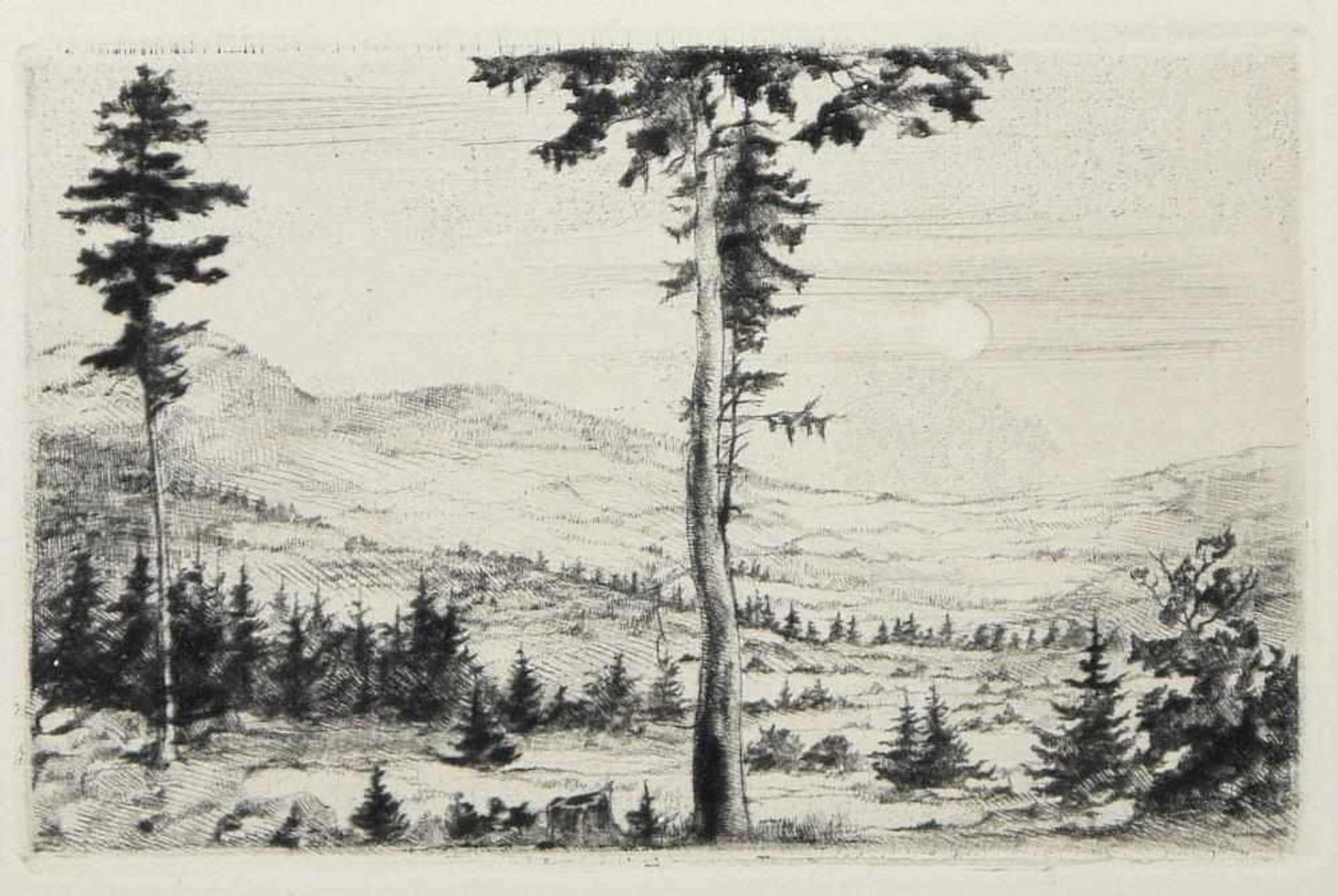 Josef Steiner, Zwei Landschaften mit Bäumen u. Sitzender Greis, 3 Radierungen um 1945/50, gerahmt - Bild 2 aus 6