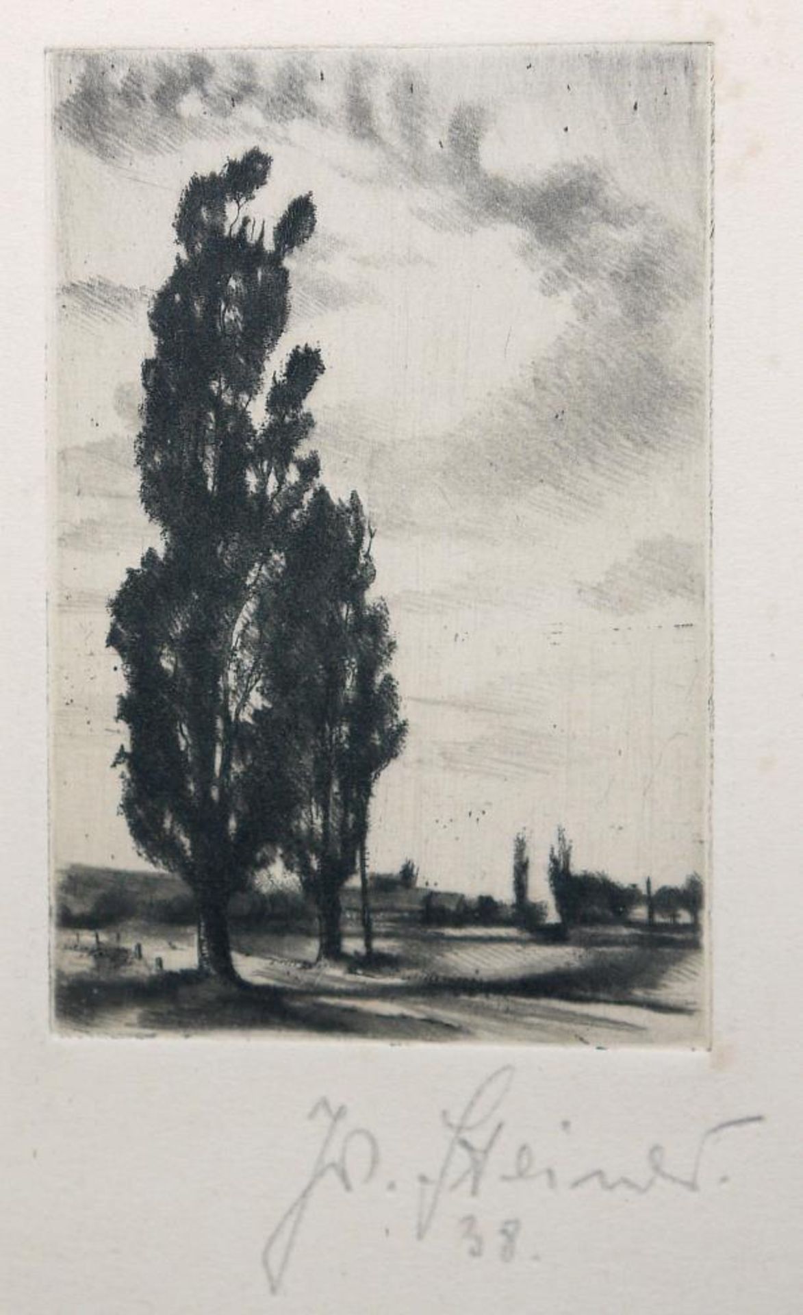 Josef Steiner, Naturdarstellungen mit Bäumen, 4 Radierungen, 1938, 1944 u. um 1940/45, gerahmt Josef - Bild 2 aus 9