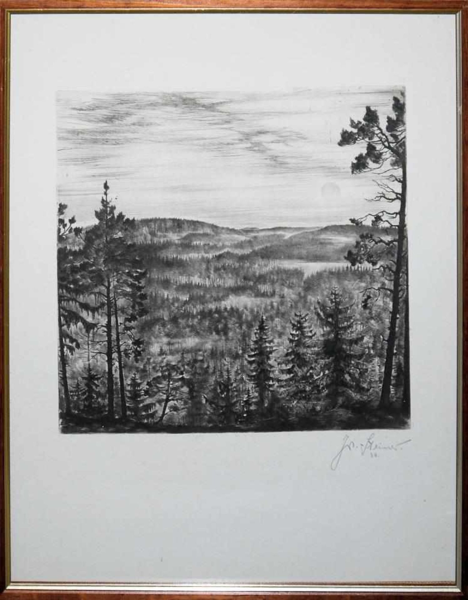 Josef Steiner, Landschaften und Wälder, 4 Radierungen, gerahmt Josef Steiner, 1899 – 1977, „ - Bild 6 aus 8