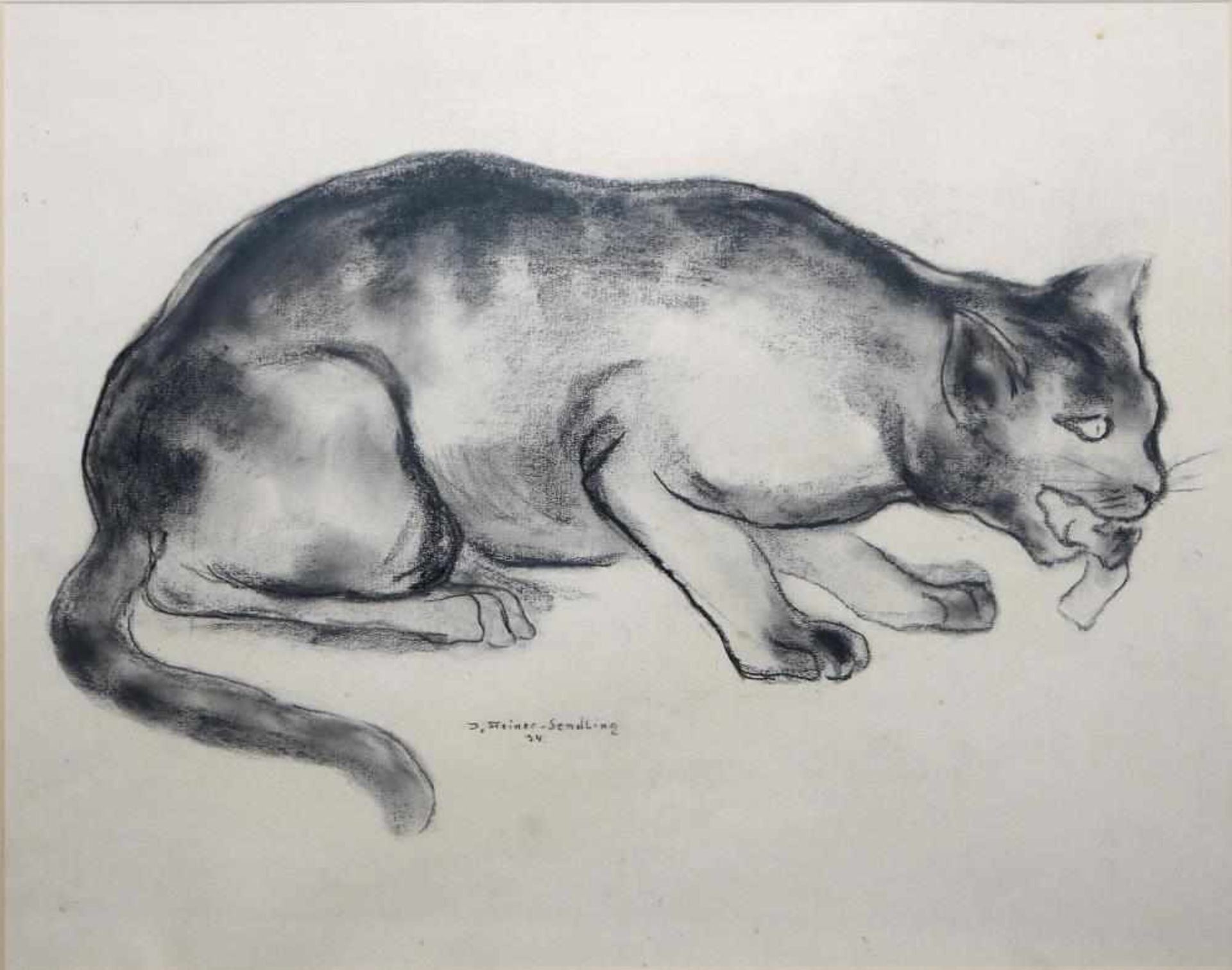 Josef Steiner, Fressende Katze, Kohlezeichnung von 1934, im Atelierrahmen Josef Steiner, 1899 - - Bild 2 aus 3