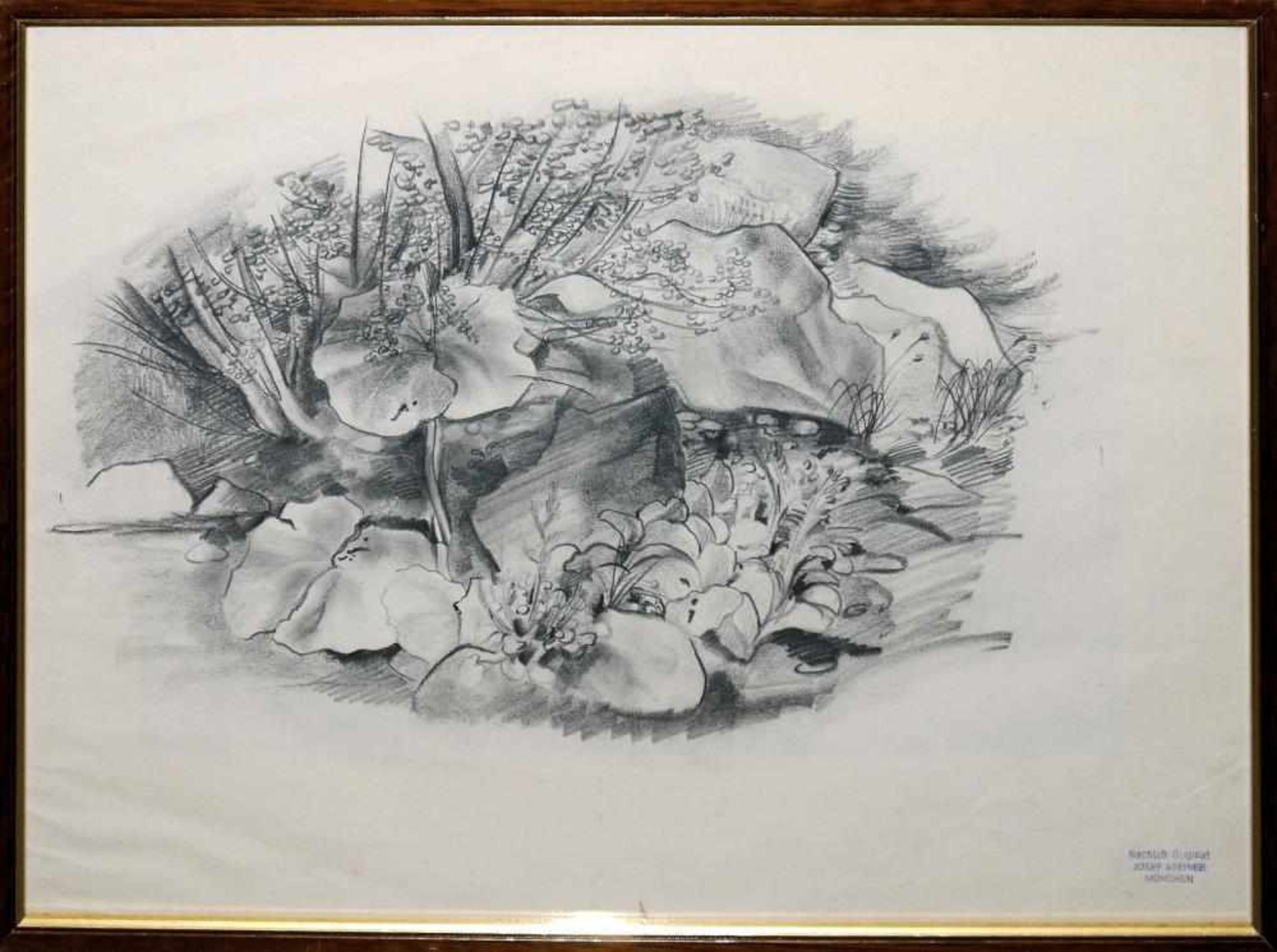 Josef Steiner, Pflanzen- und Naturstudien,3 Zeichnungen, um 1936/37, gerahmt Josef Steiner, 1899 –