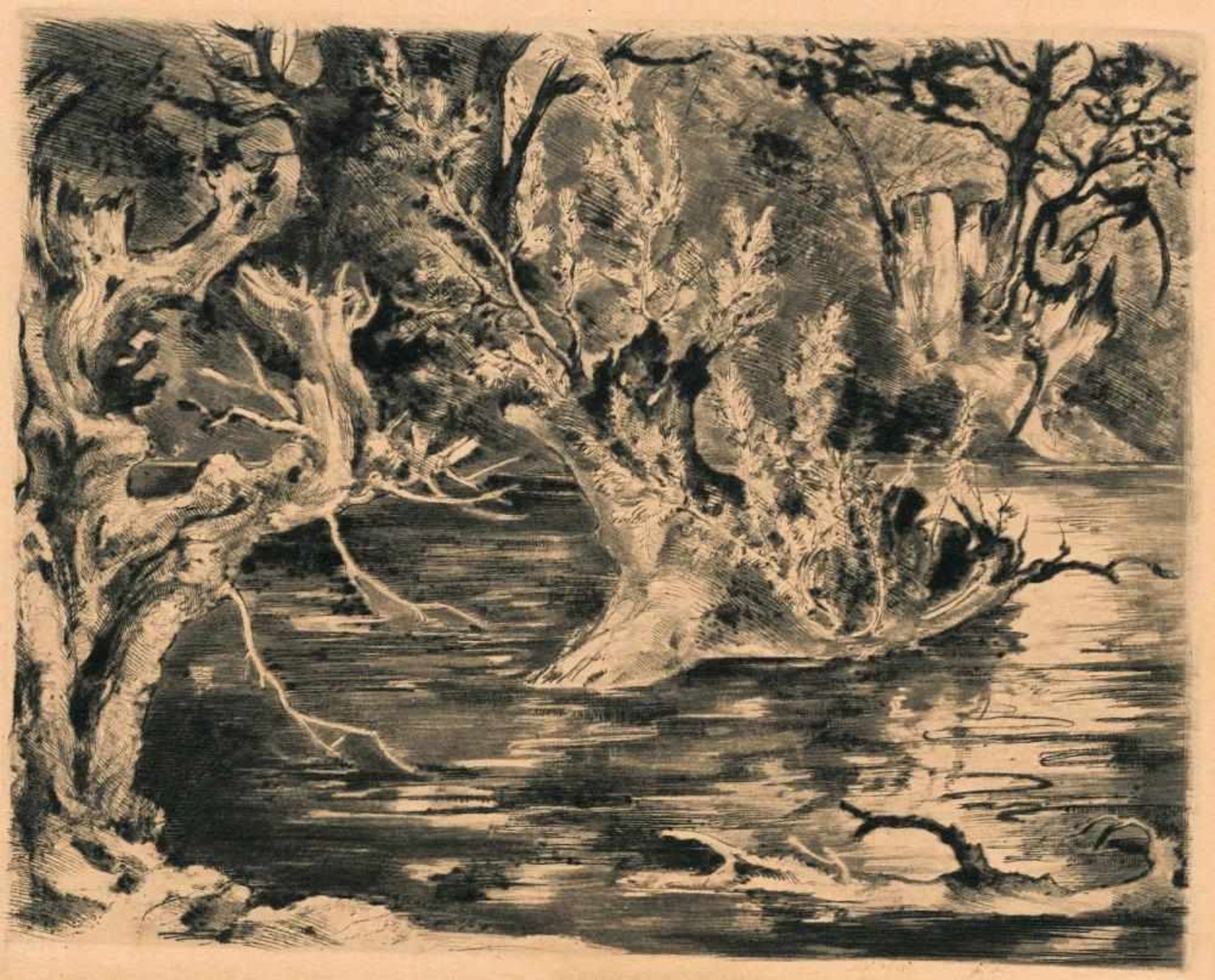 Josef Steiner, Zwei Landschaften mit Getreideschober u. Drei Baumstudien, 4 Radierungen u. - Bild 8 aus 8