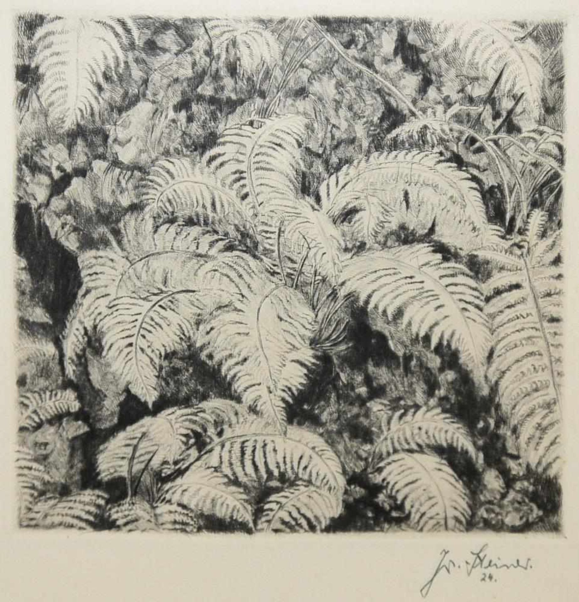 Josef Steiner, Landschaften und Wälder, 4 Radierungen, gerahmt Josef Steiner, 1899 – 1977, „ - Bild 2 aus 8