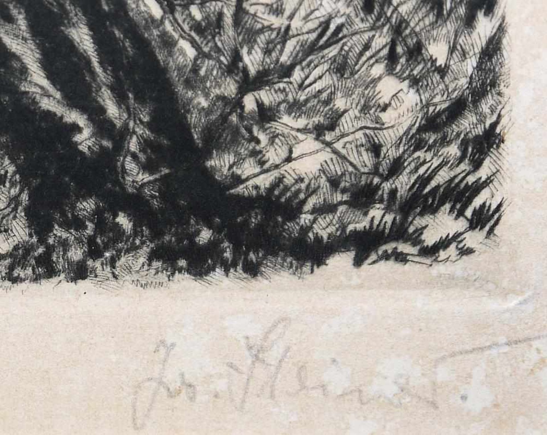 Josef Steiner, Landschaften und Wälder, 4 Radierungen, gerahmt Josef Steiner, 1899 – 1977, „Farne im - Bild 8 aus 9