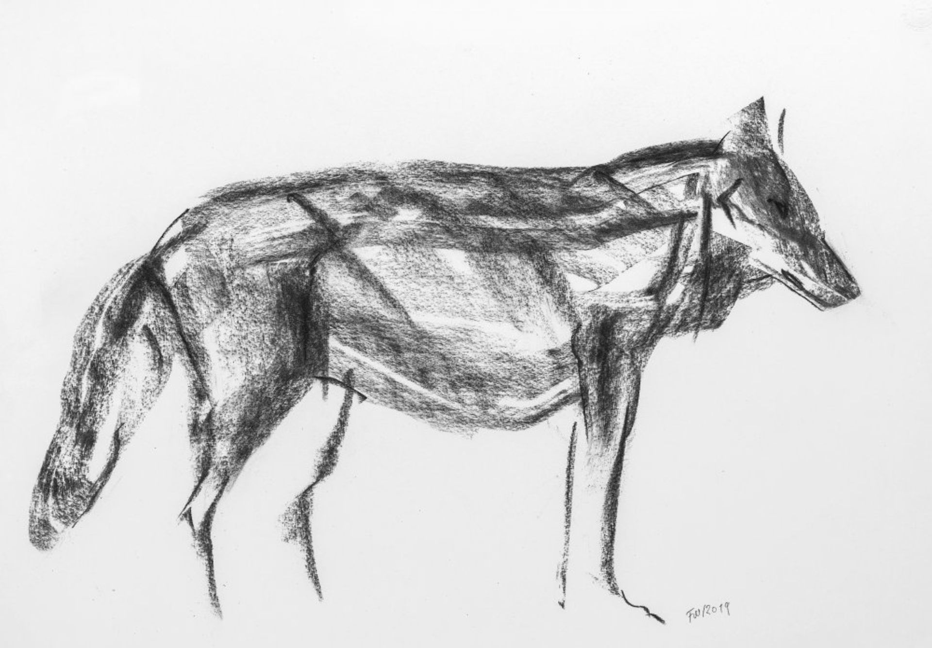 Weickmann, FranzStehender Wolf. Kohlezeichnung. 34,5 x 49 cm. Monogr., dat. 2019.Weickmann,