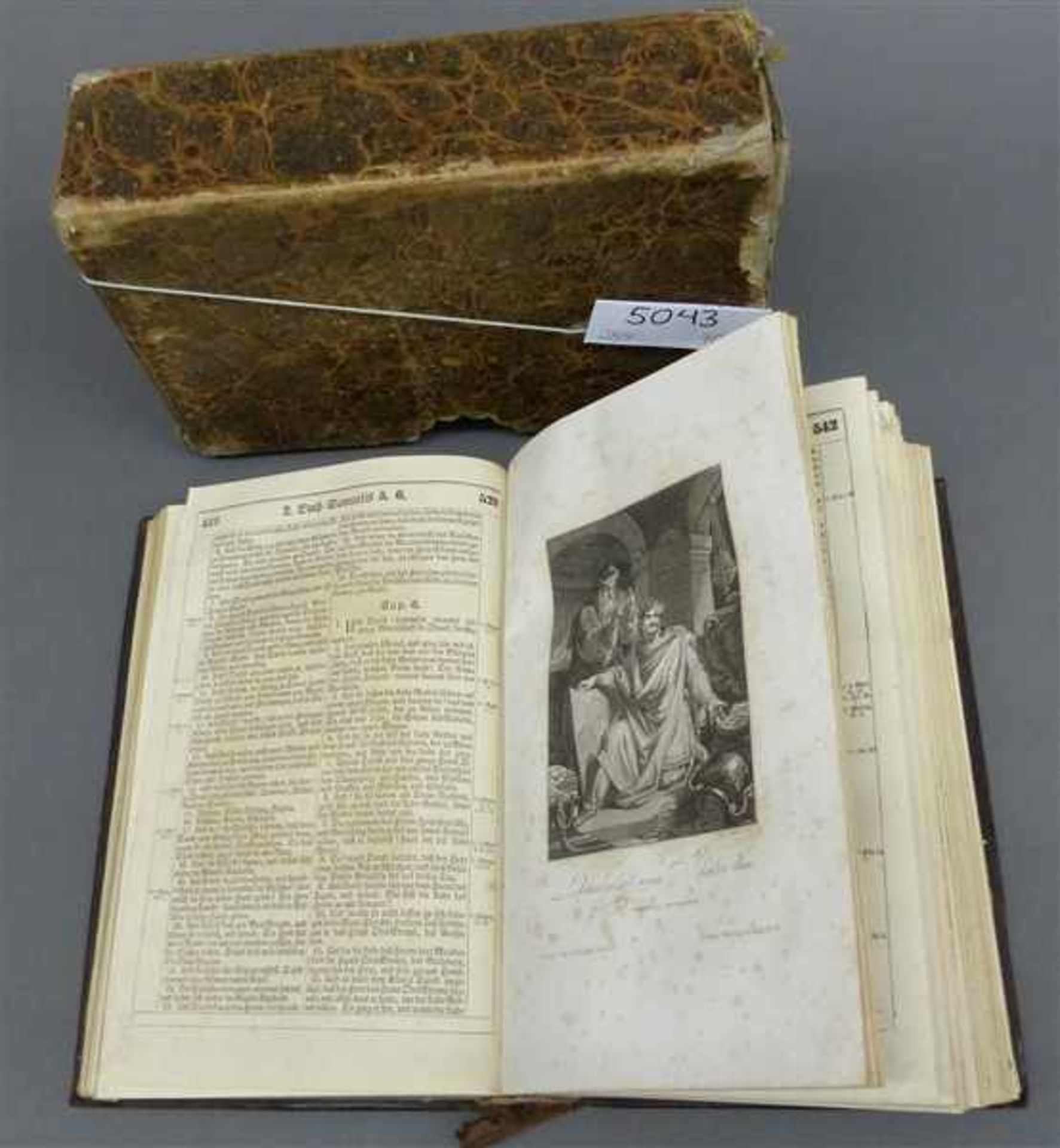 Luther - BibelDie ganze Heilige Schrift, verschiedene Kupferstiche, Bibliographisches Institut
