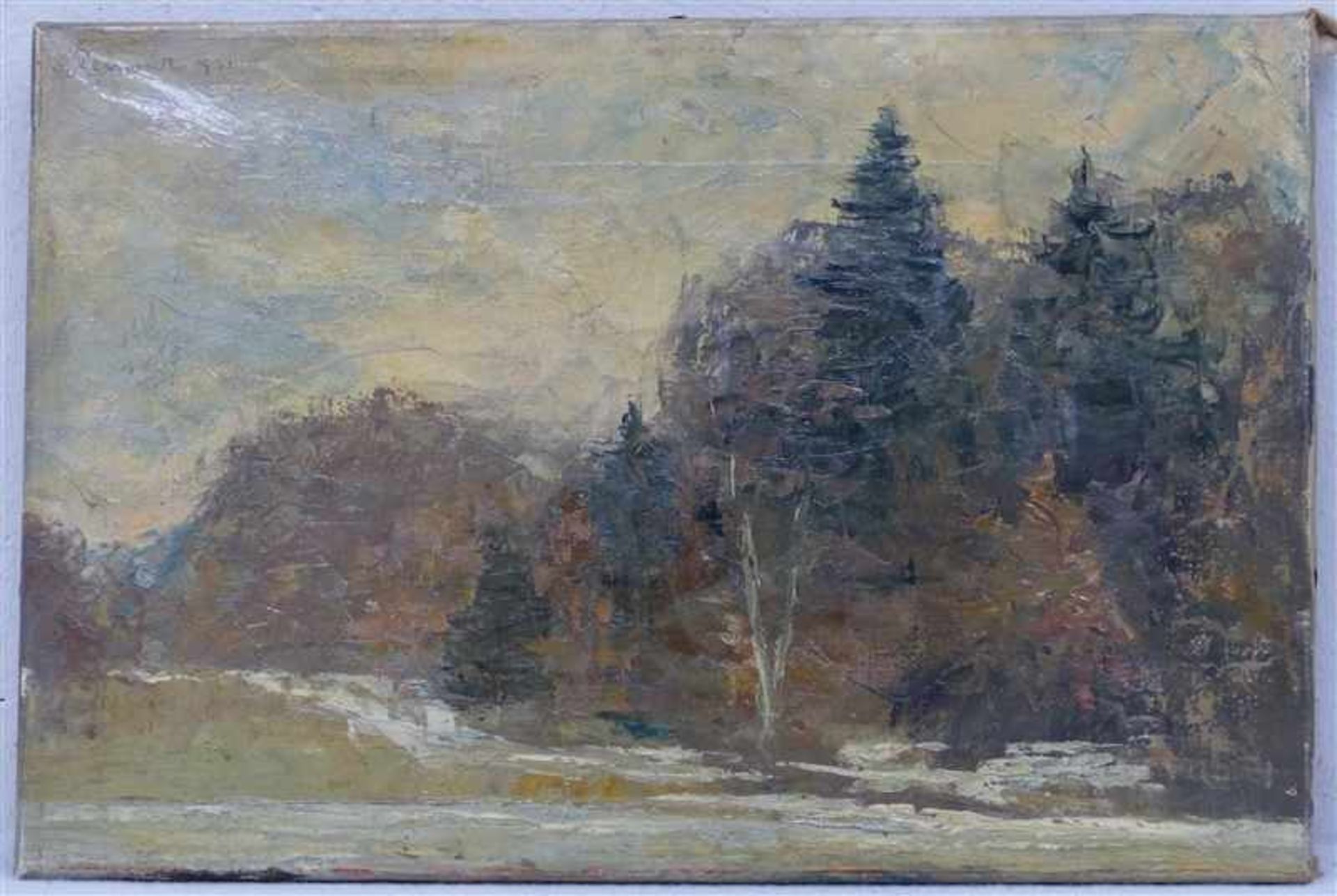 Renwart, Eugen Franz1885 Bozen - 1968 München, Öl auf Leinen, "Waldige Gebirgslandschaft", links